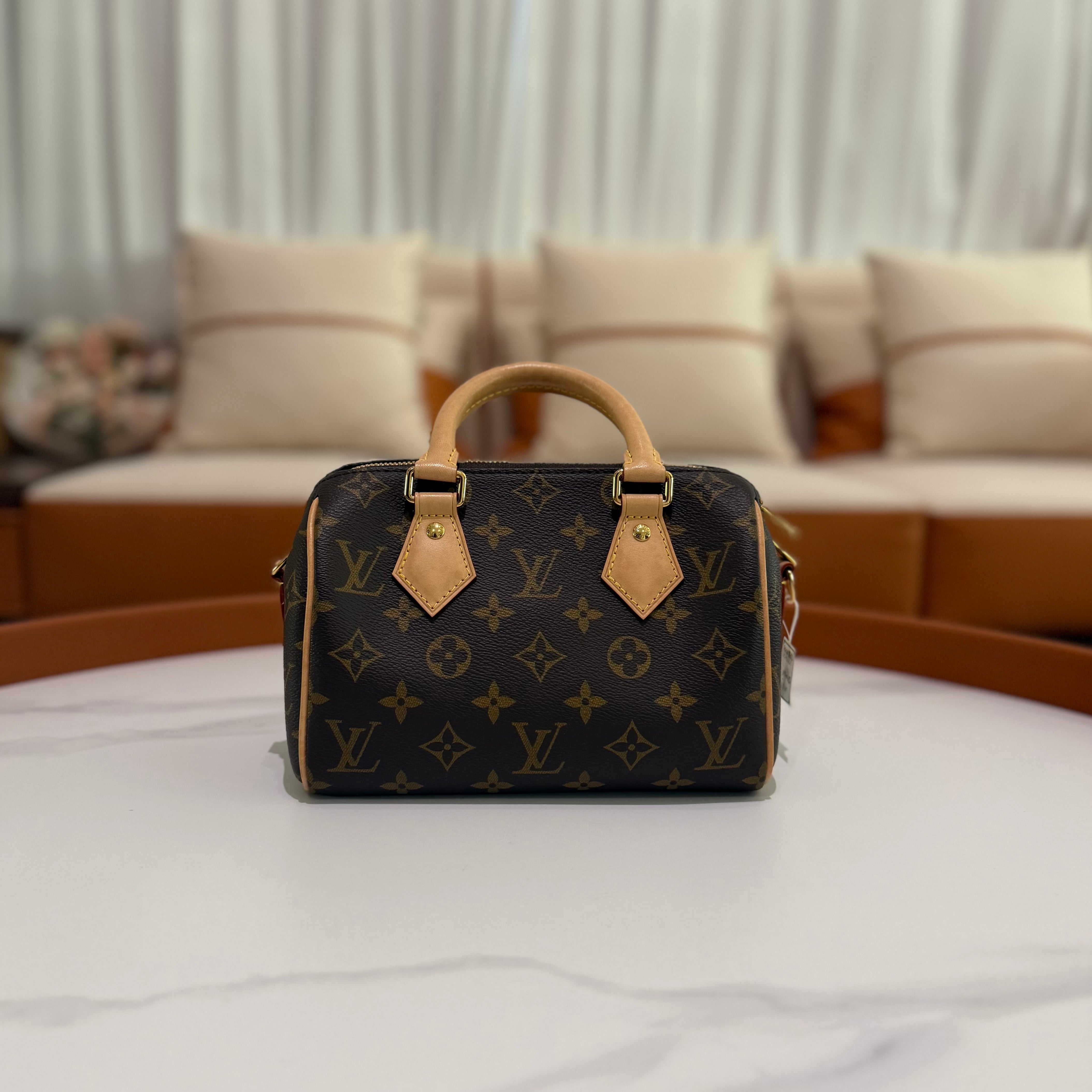 LOUIS VUITTON SPEEDY 20