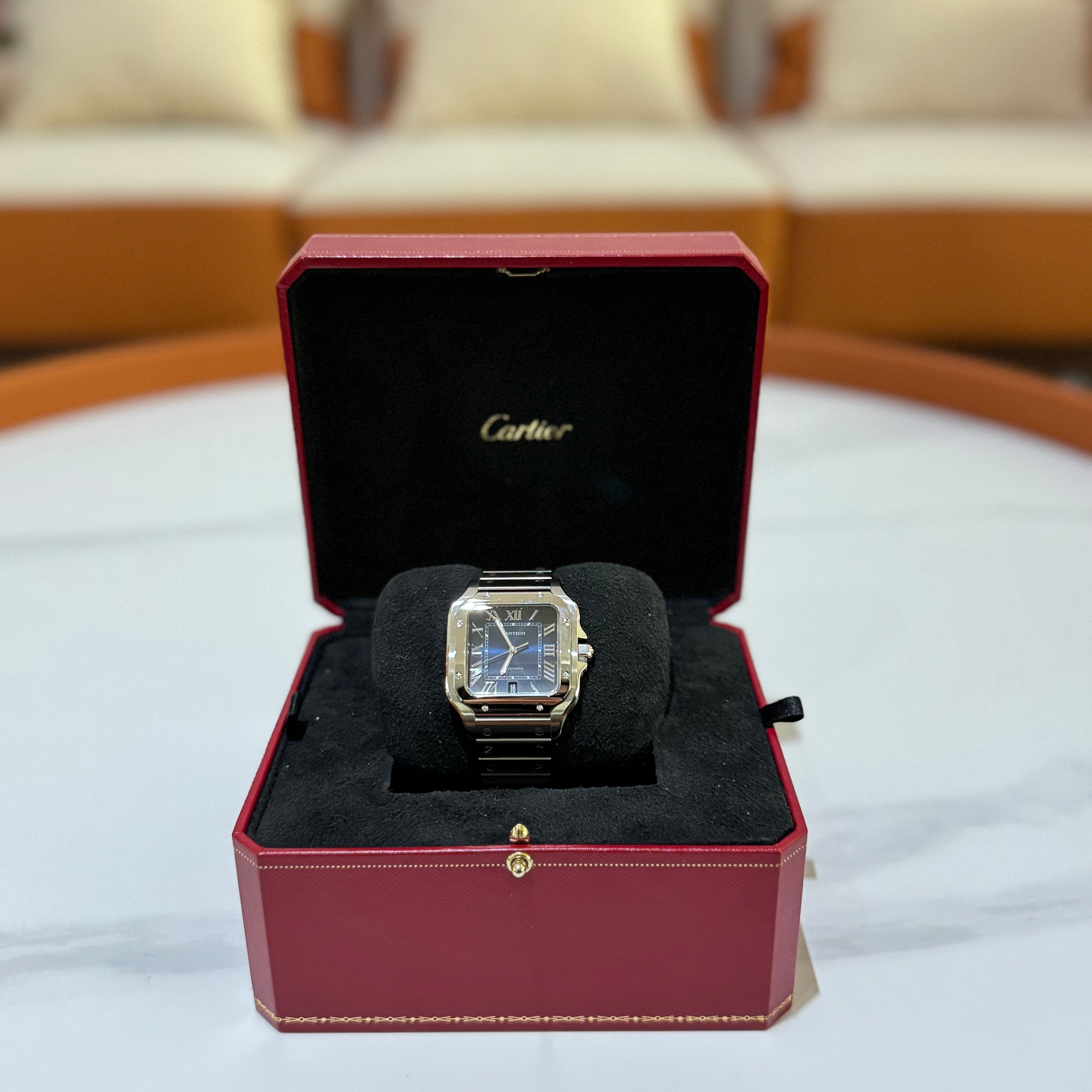 CARTIER SANTOS WSSA0030 (JUNE 2024 WARRANTY)
