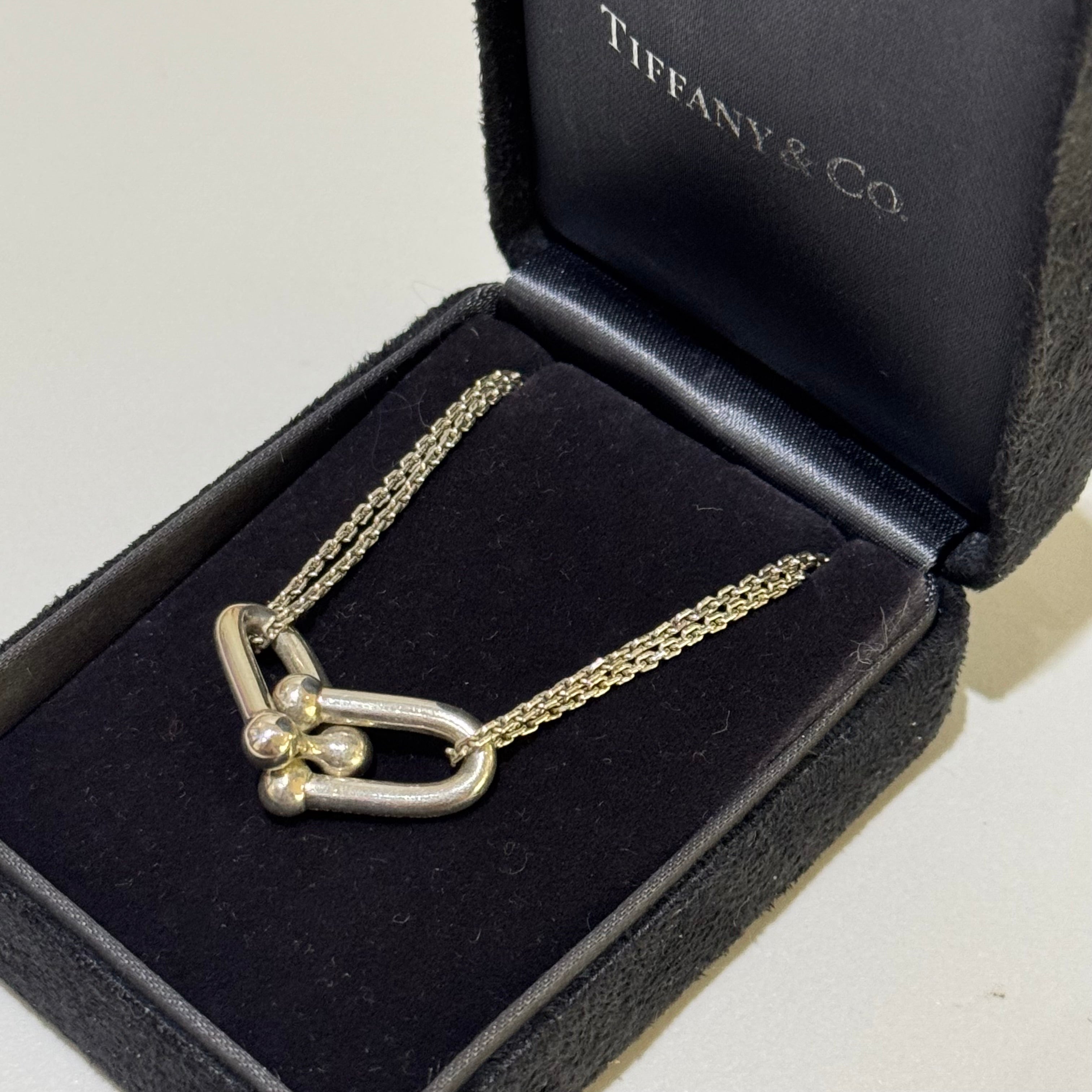 TIFFANY HARDWEAR STERLING SILVER DOUBLE CHAIN DOUBLE LINK NECKLACE