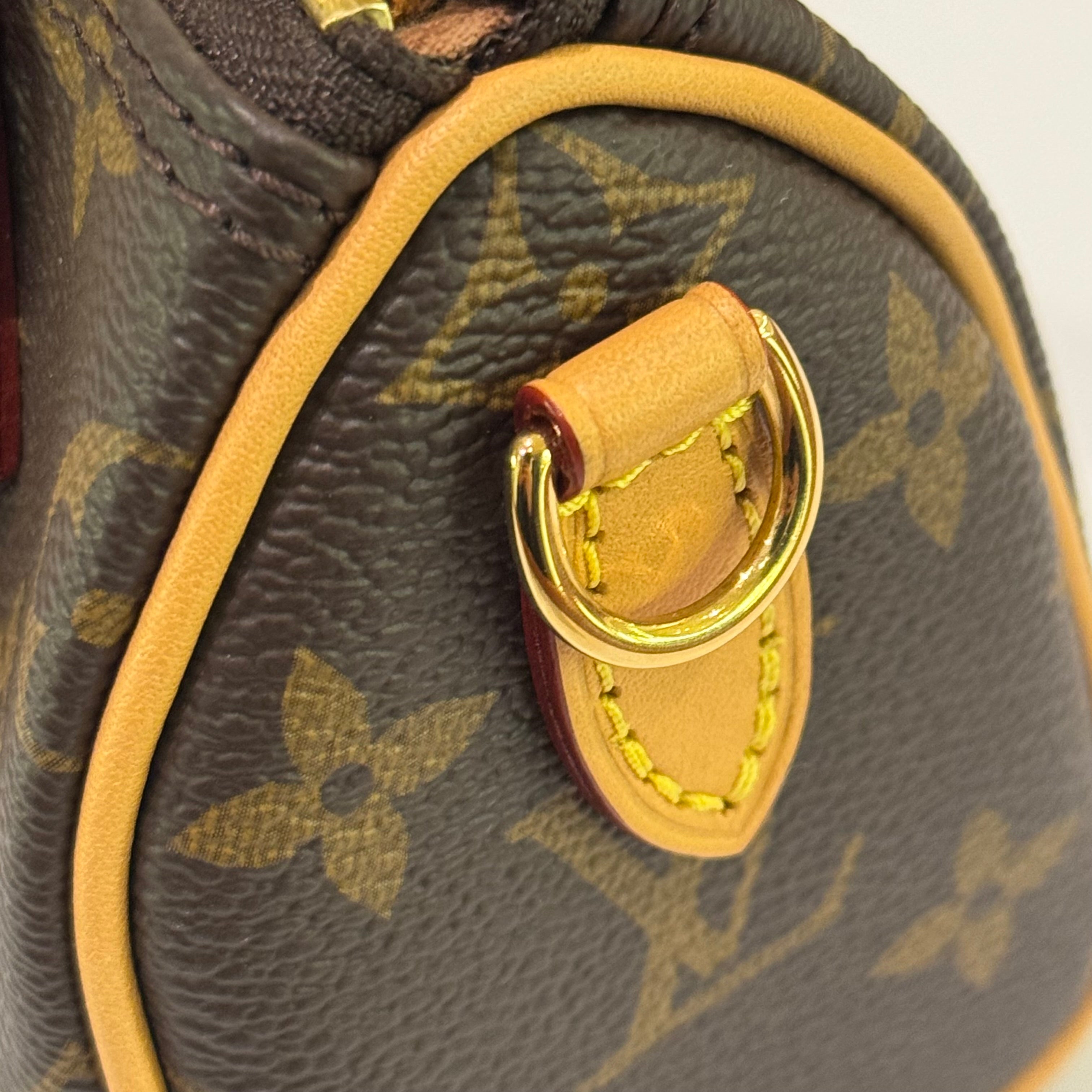 LOUIS VUITTON NANO SPEEDY MONOGRAM CLASSIC