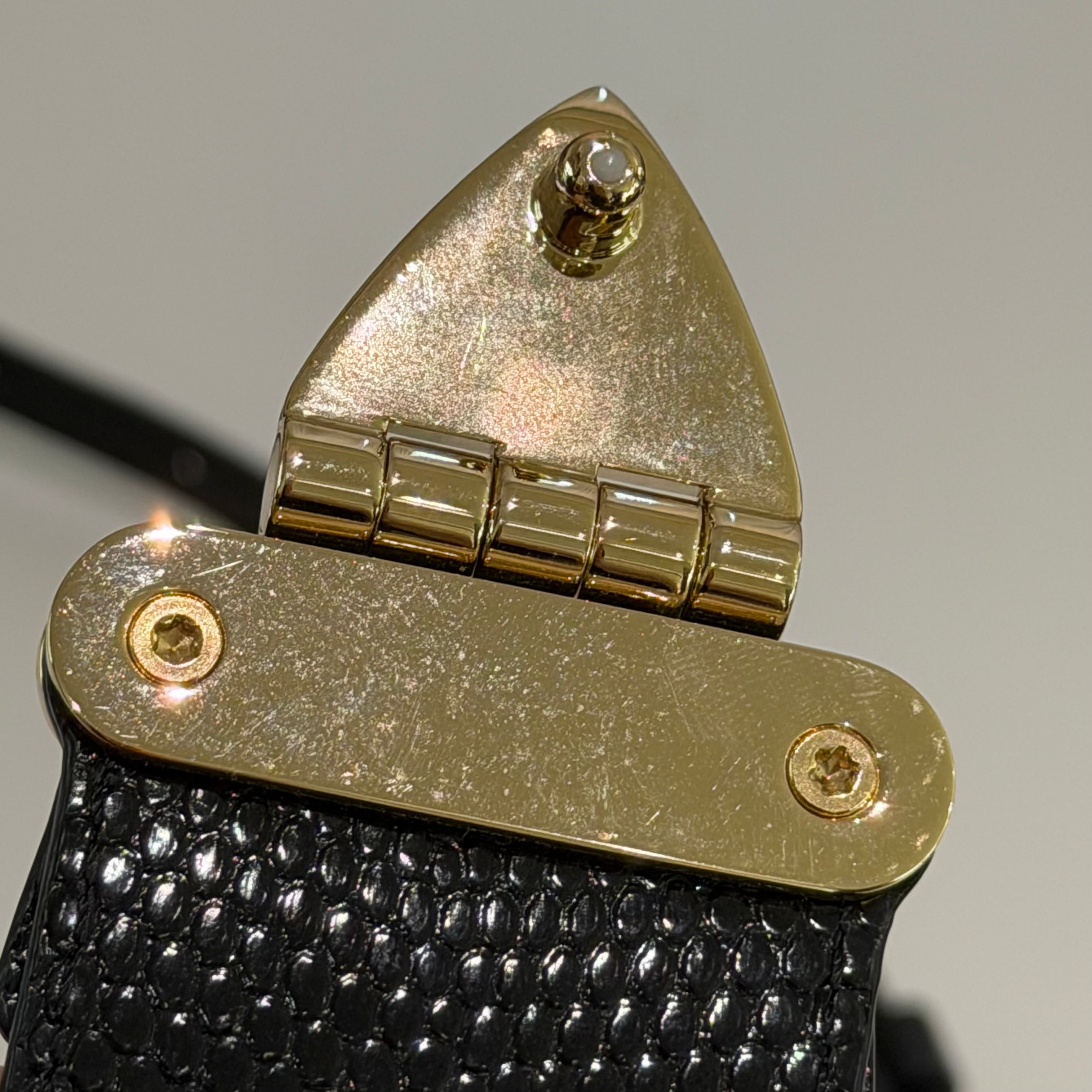 Louis Vuitton Black Lizard Leather Hard Case