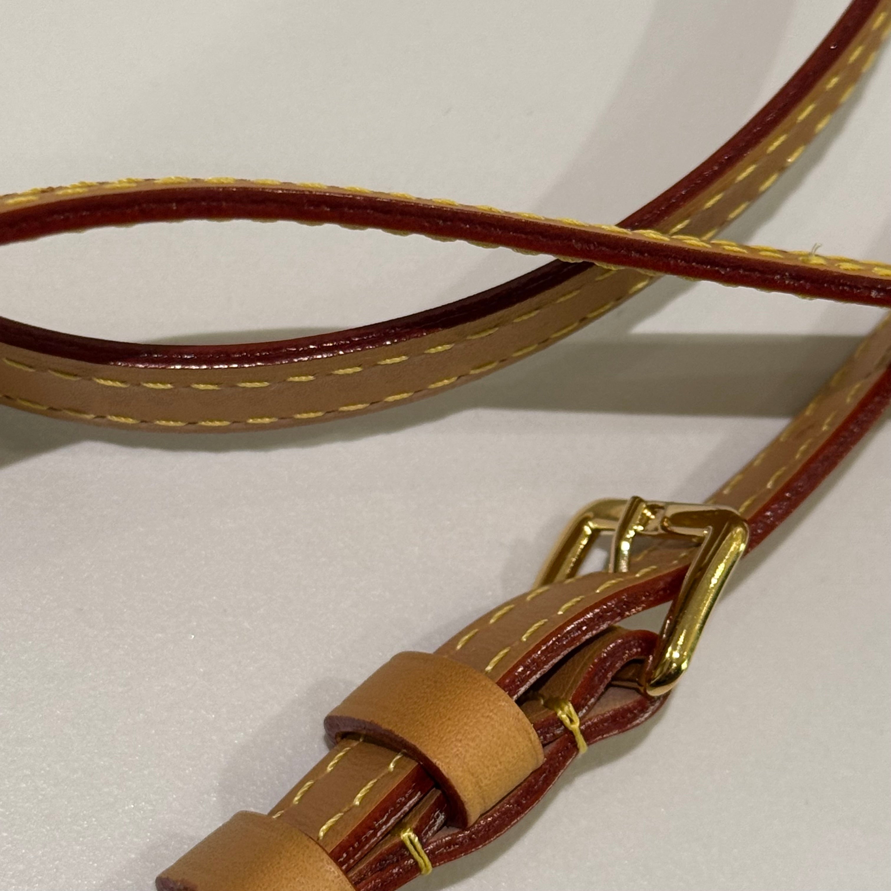 LOUIS VUITTON NANO SPEEDY MONOGRAM CLASSIC