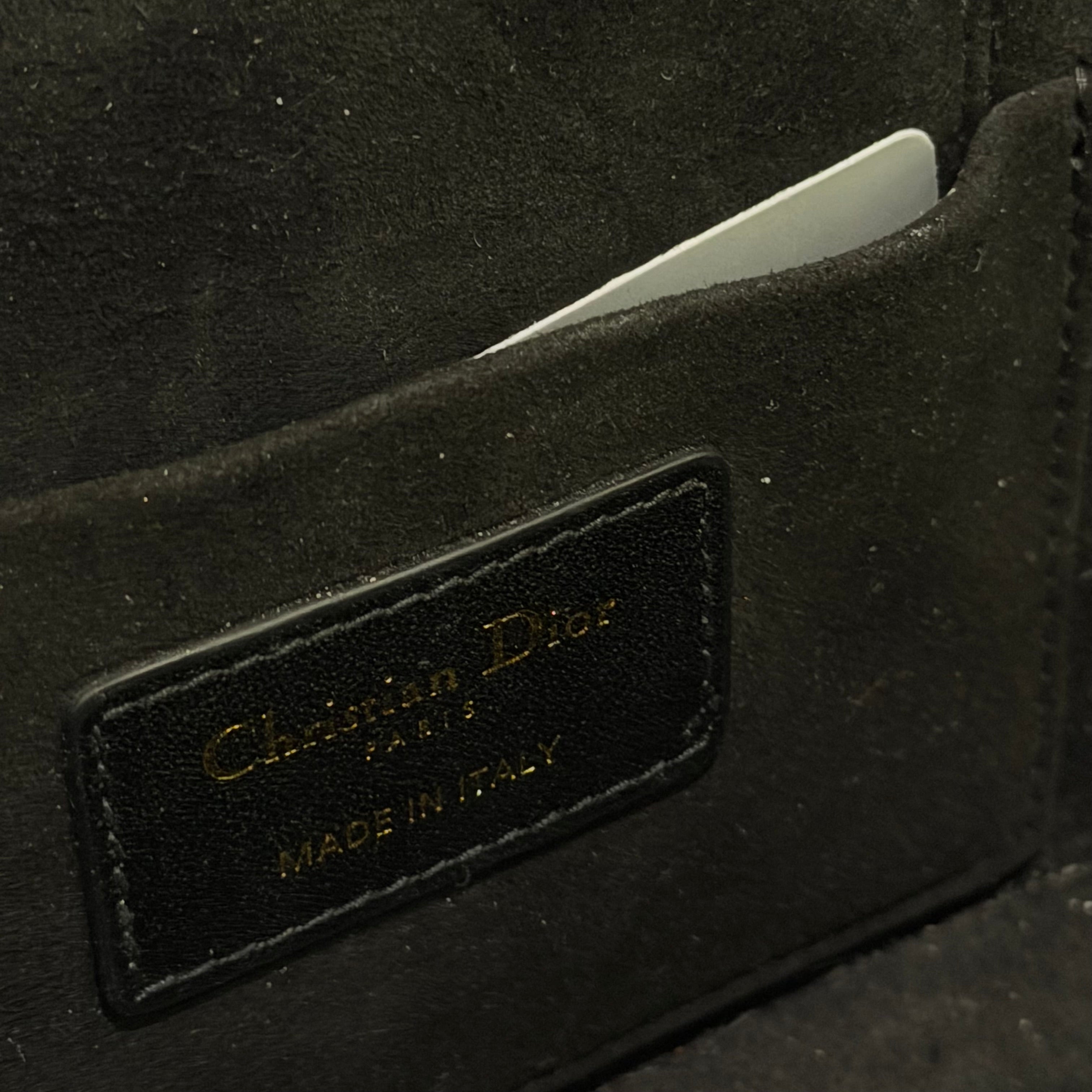 Dior Travel Vanity Box Bag