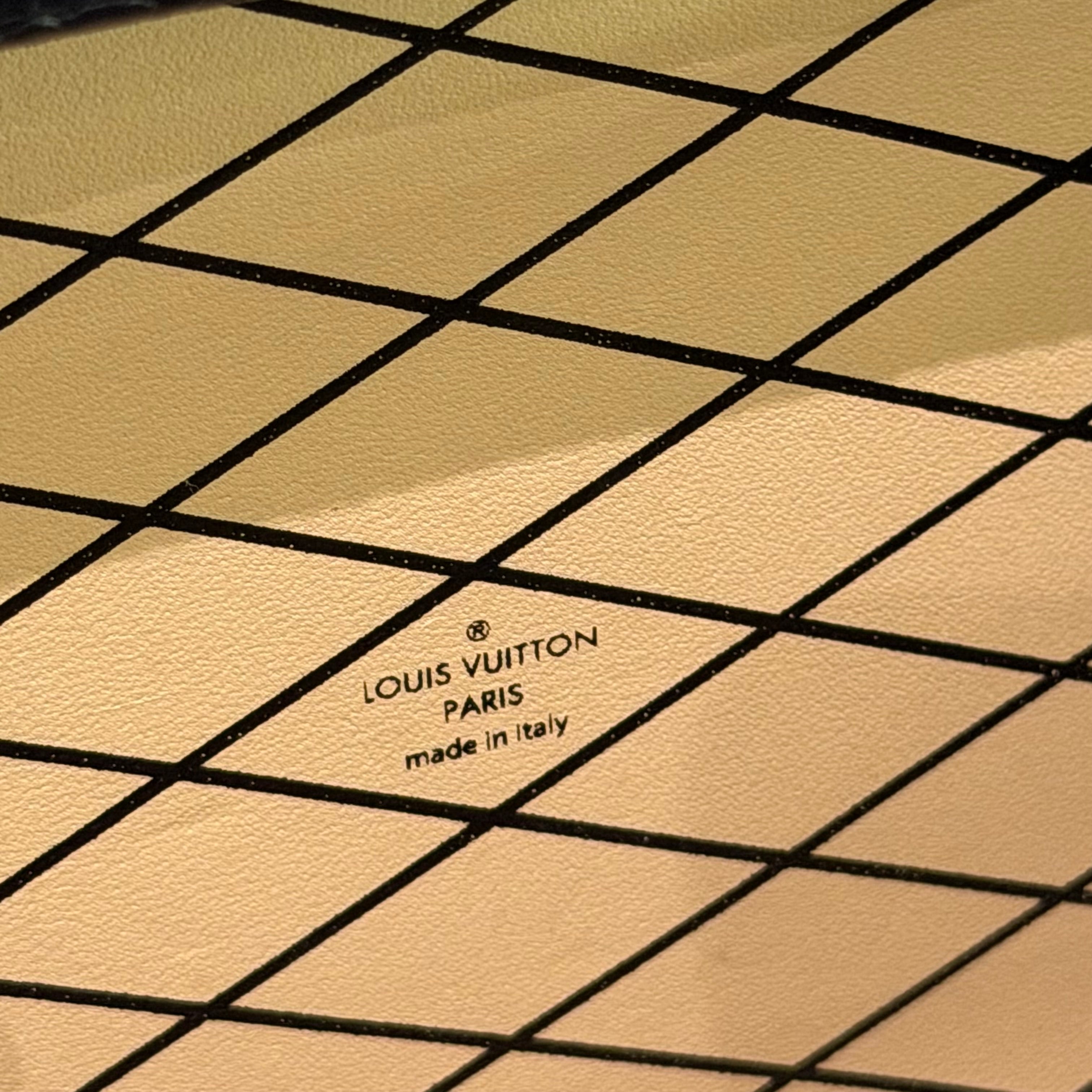 Louis Vuitton Black Lizard Leather Hard Case