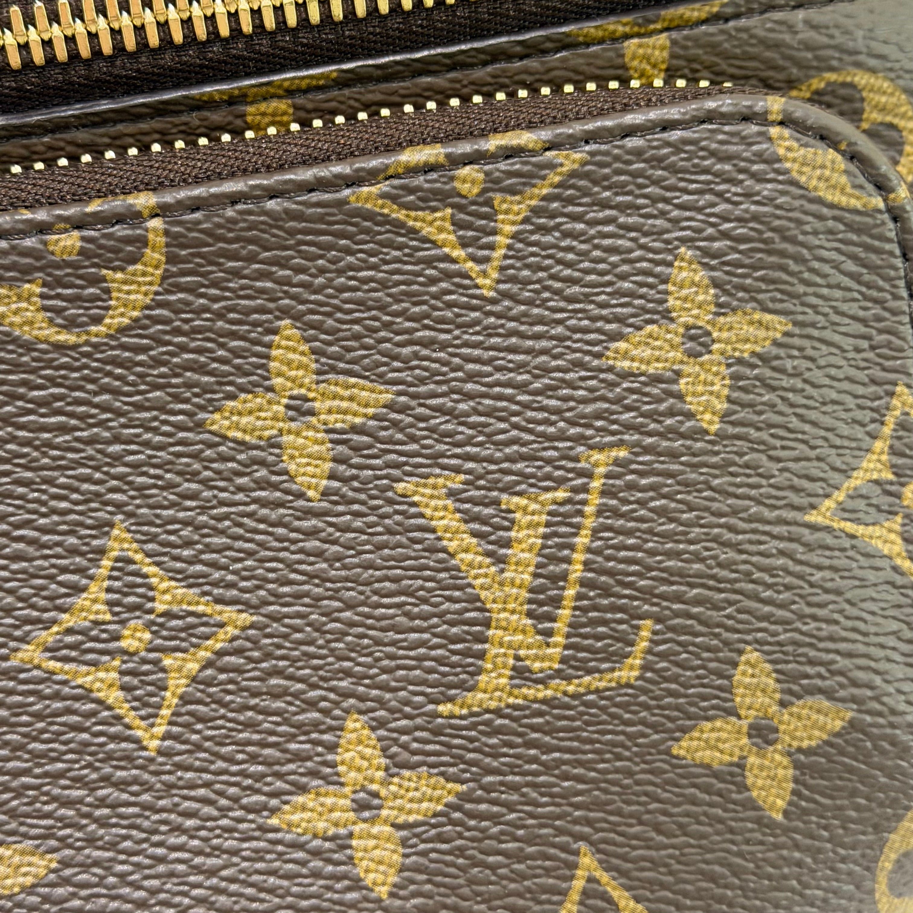 Louis Vuitton Monogram Rush Shoulder Crossbody Bag (Chip Model) | LOUIS VUITTON