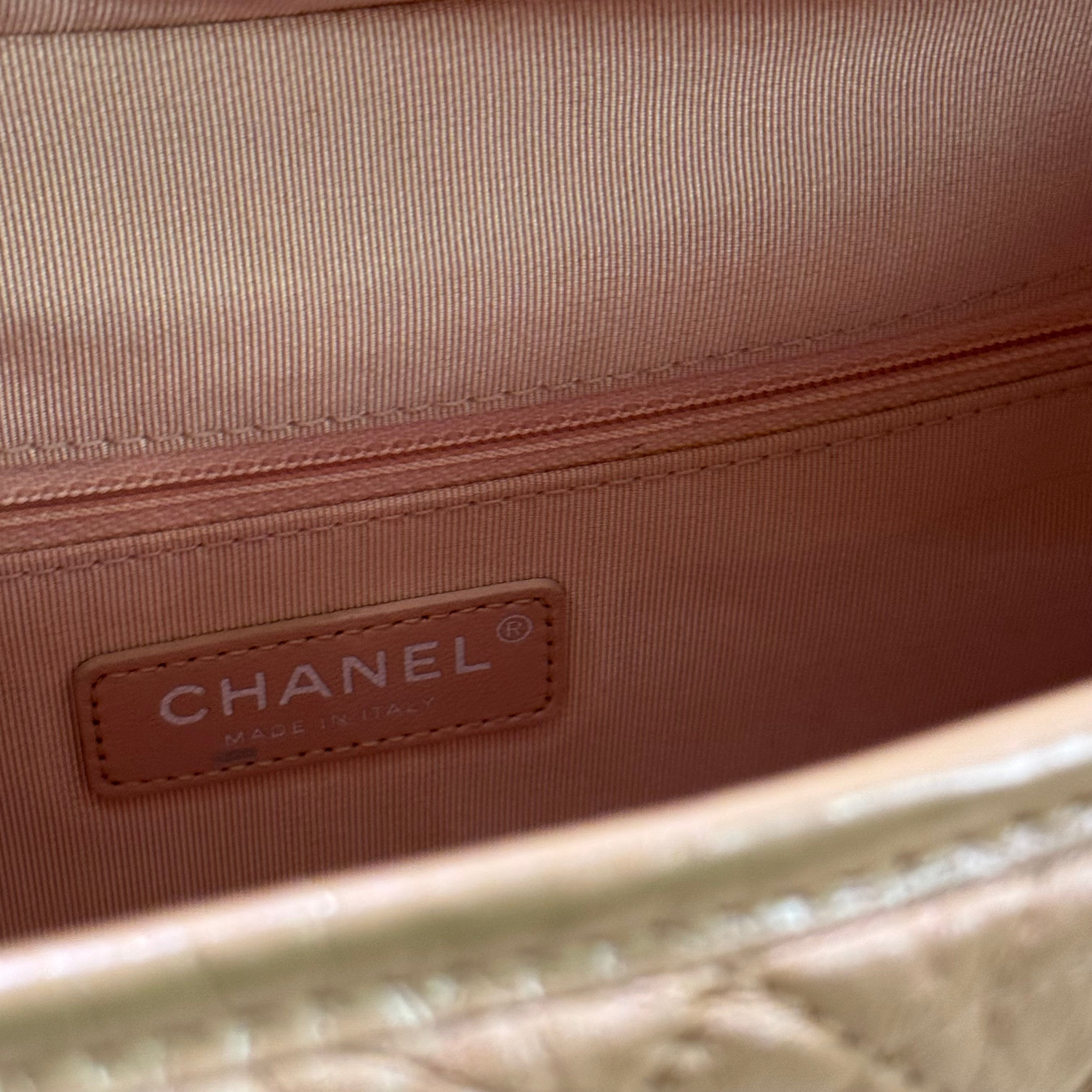 CHANEL GABRIELLE HOBO BAG PEARLESCENT SAKURA PINK WITH GOLD HARDWARE