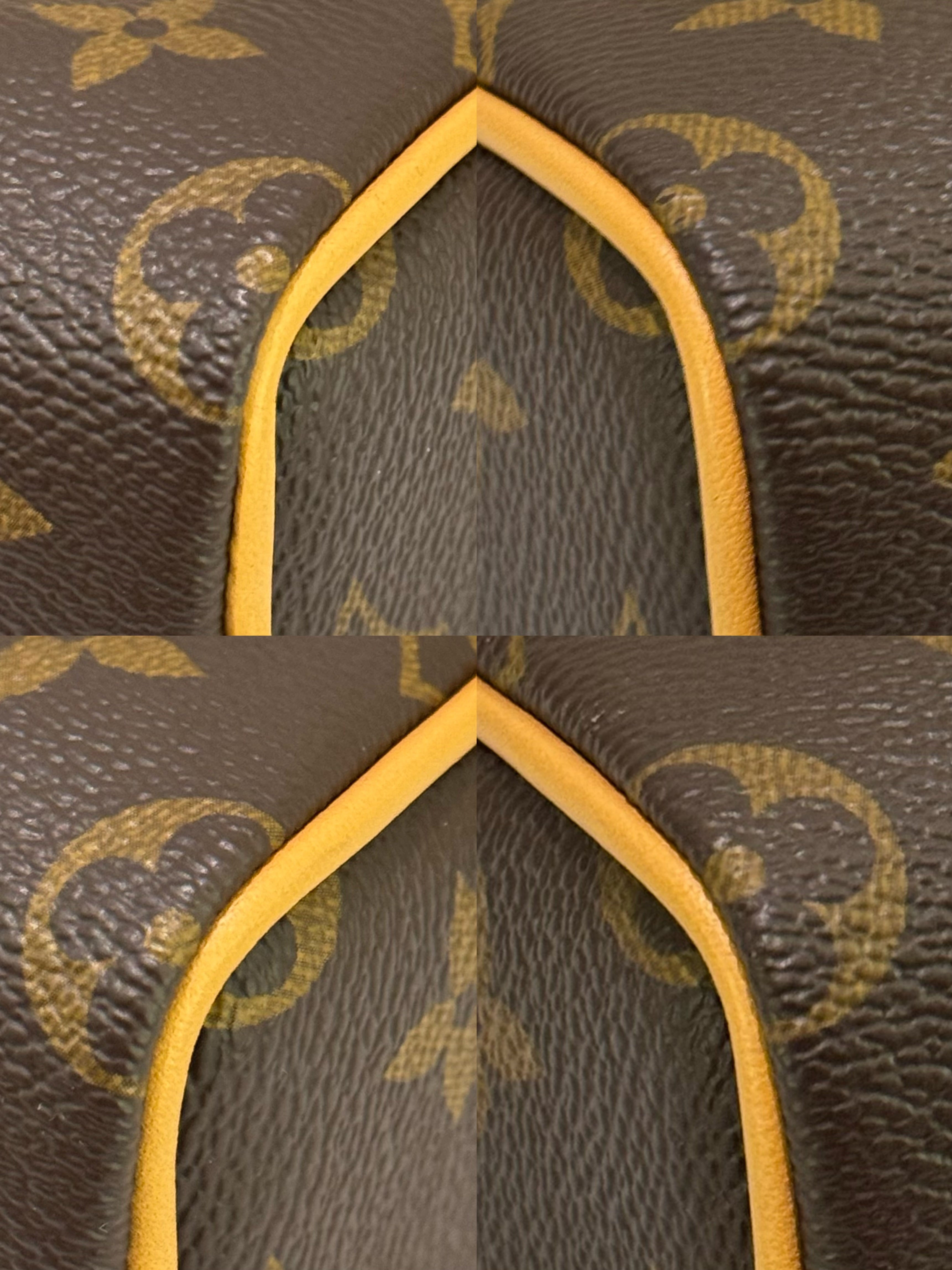 LOUIS VUITTON NANO SPEEDY MONOGRAM CLASSIC
