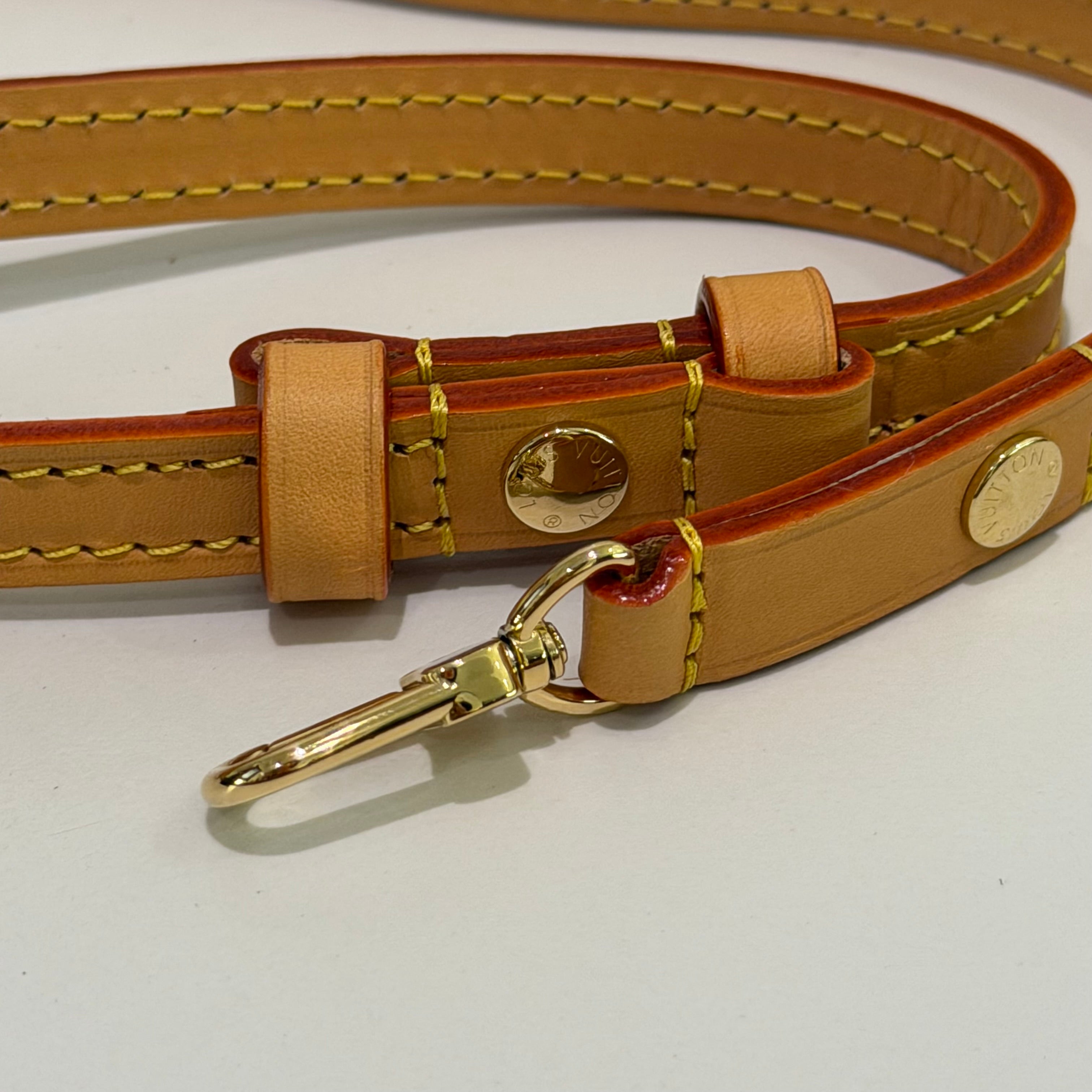 Louis Vuitton Nano Boulogne Monogram Horn Chain Bag