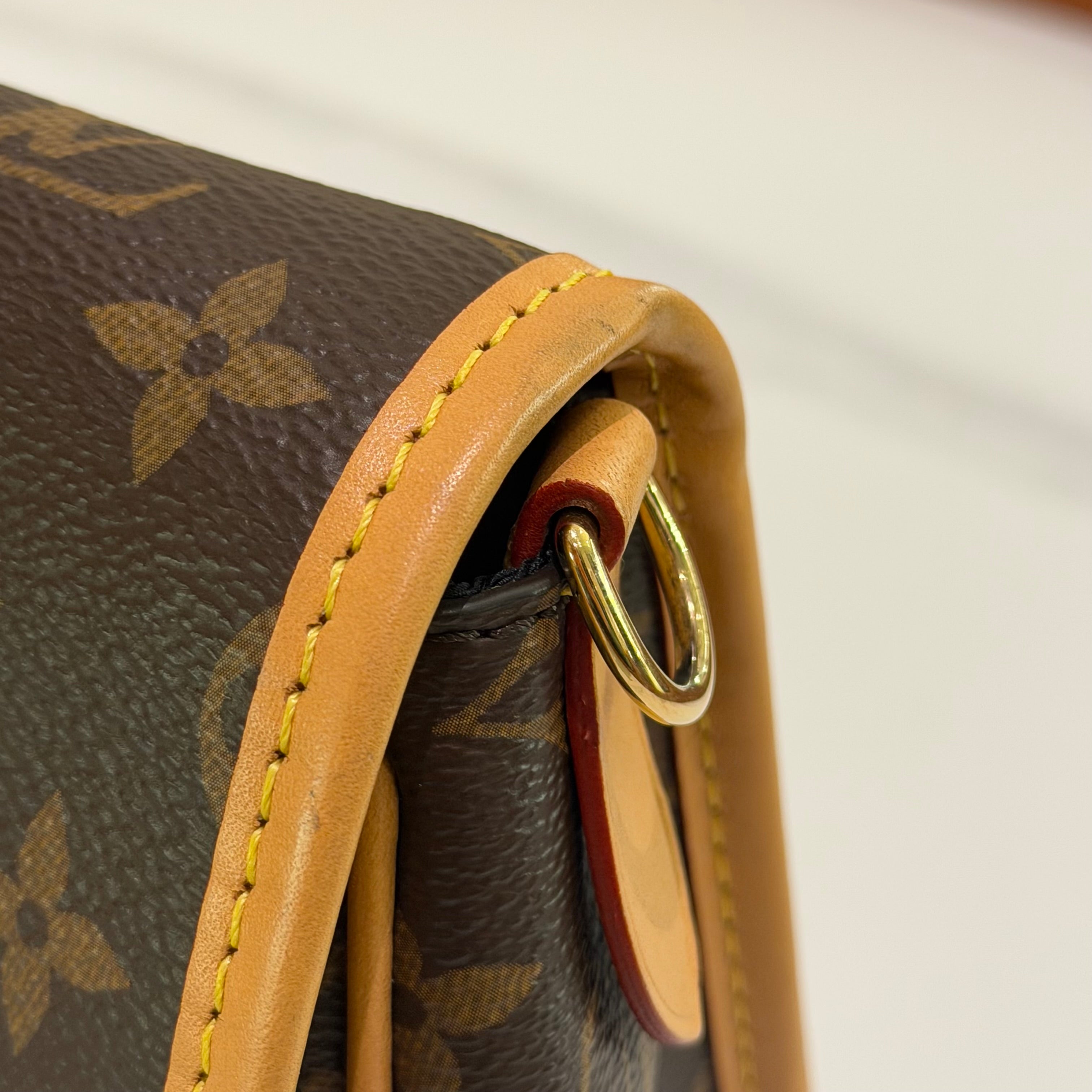 Louis Vuitton Diane Bag