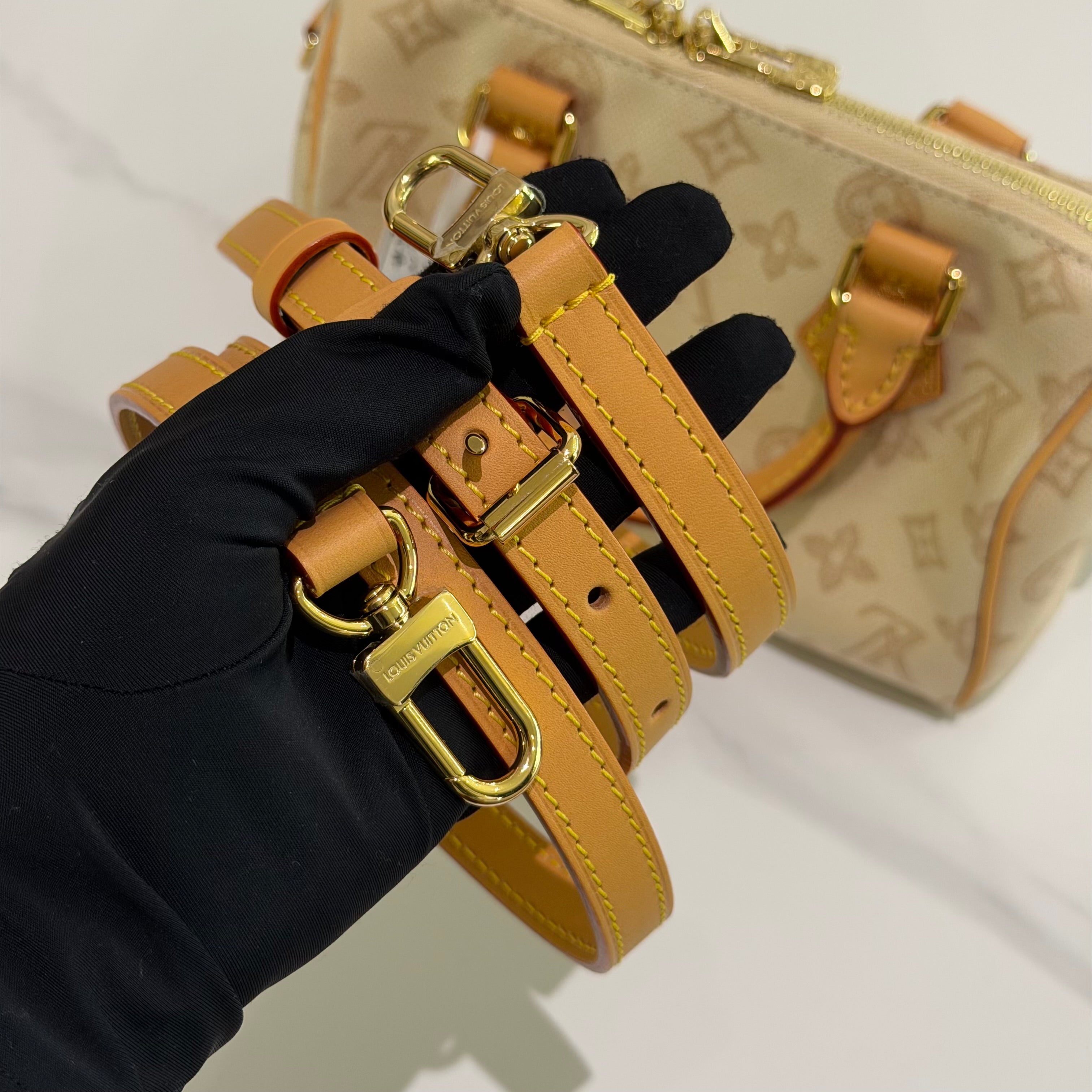 Louis Vuitton Speedy 20 130th Anniversary Limited Edition Monogram Beige (Microchip Version)