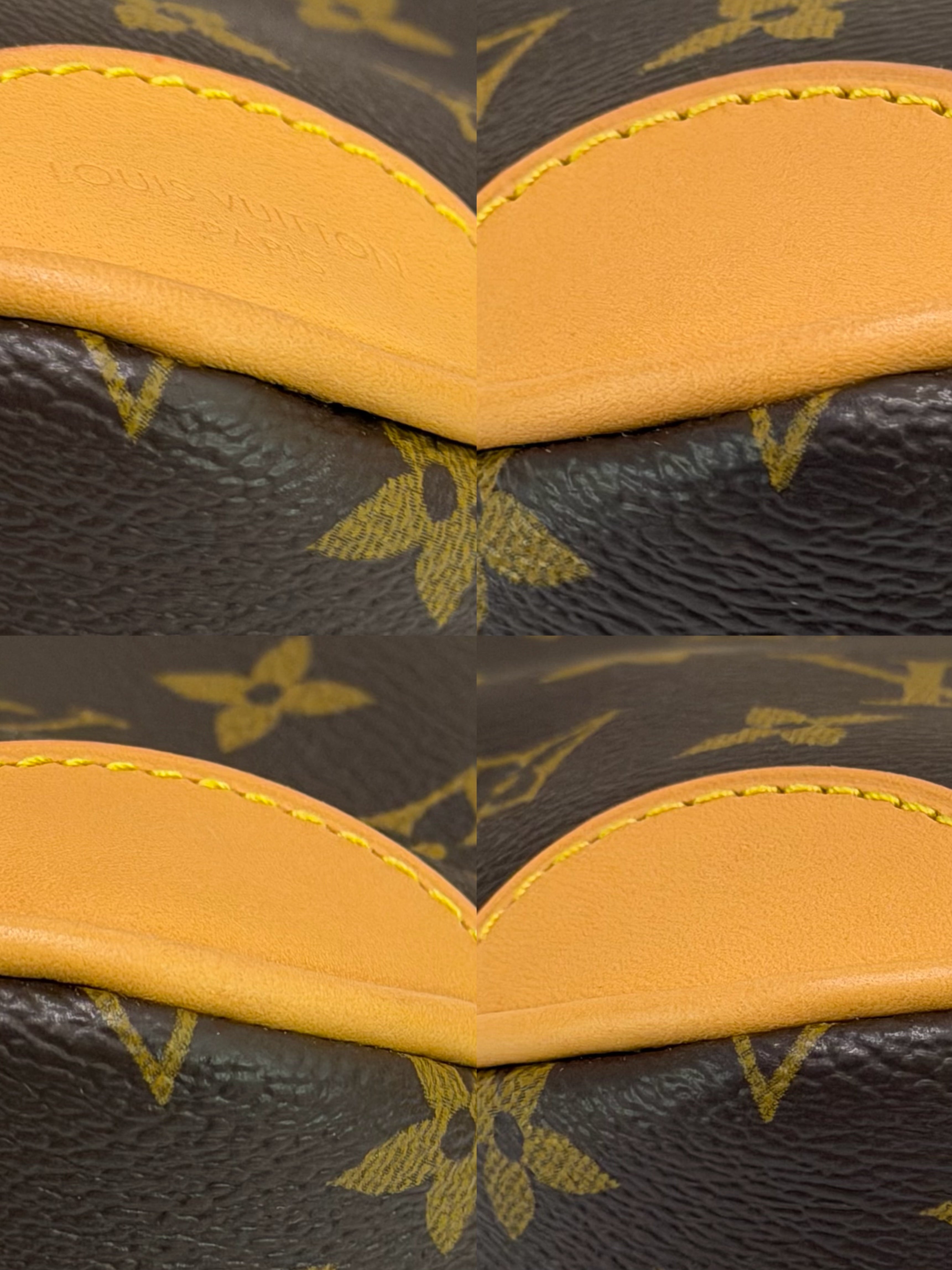 Louis Vuitton Nano Boulogne Monogram Horn Chain Bag