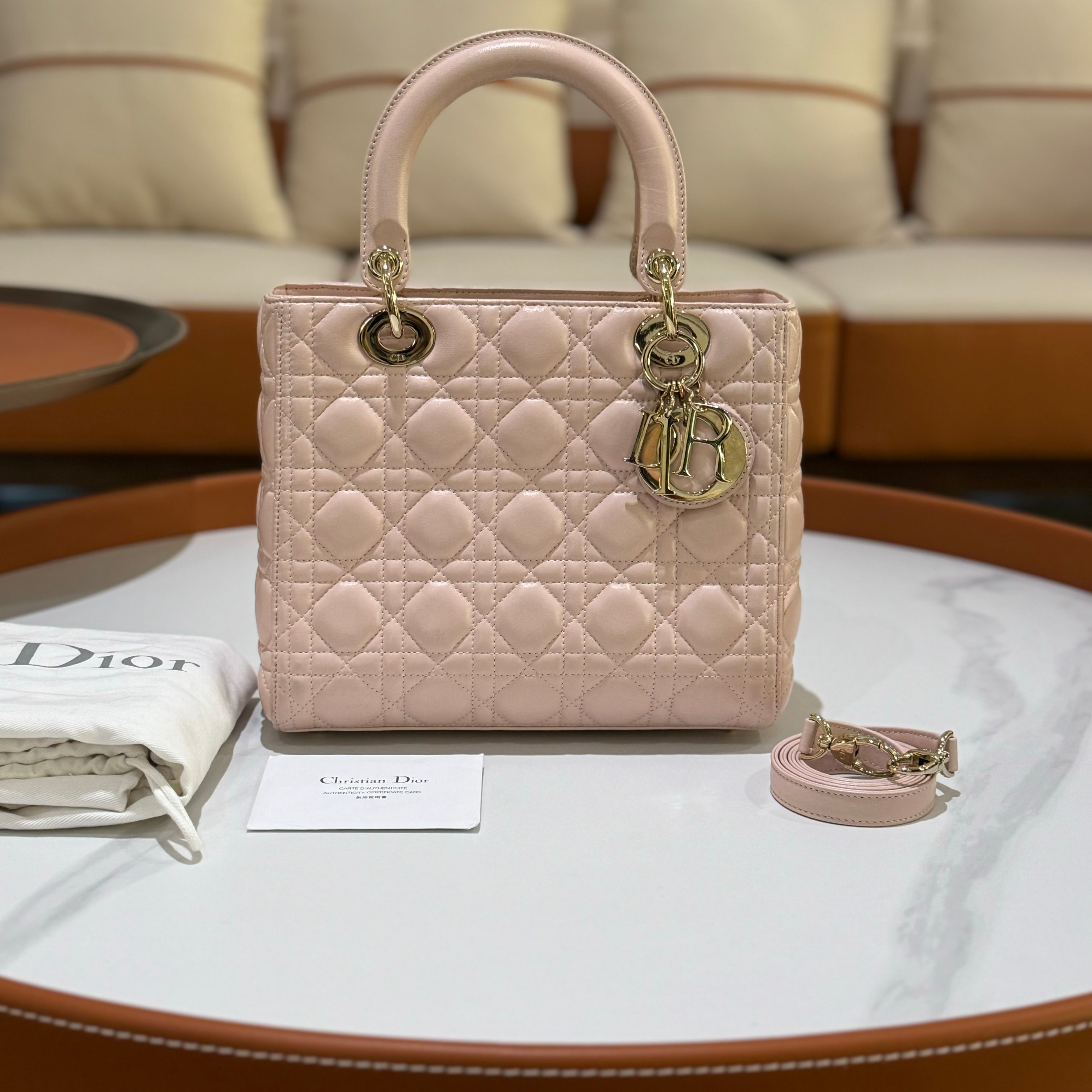 MEDIUM LADY DIOR BAG | COLLINS RAIN