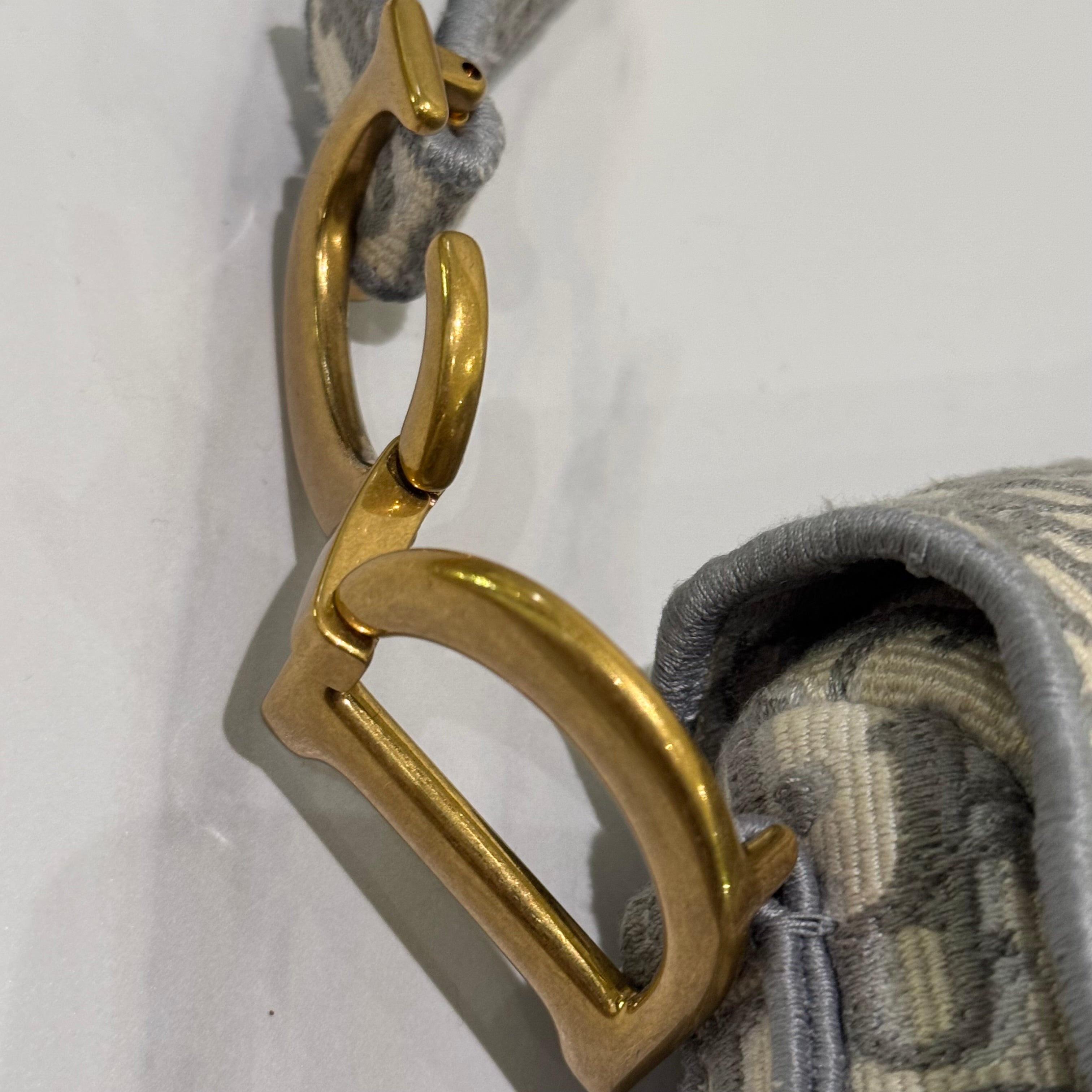 DIOR Saddle Bag Medium Size Shoulder Bag