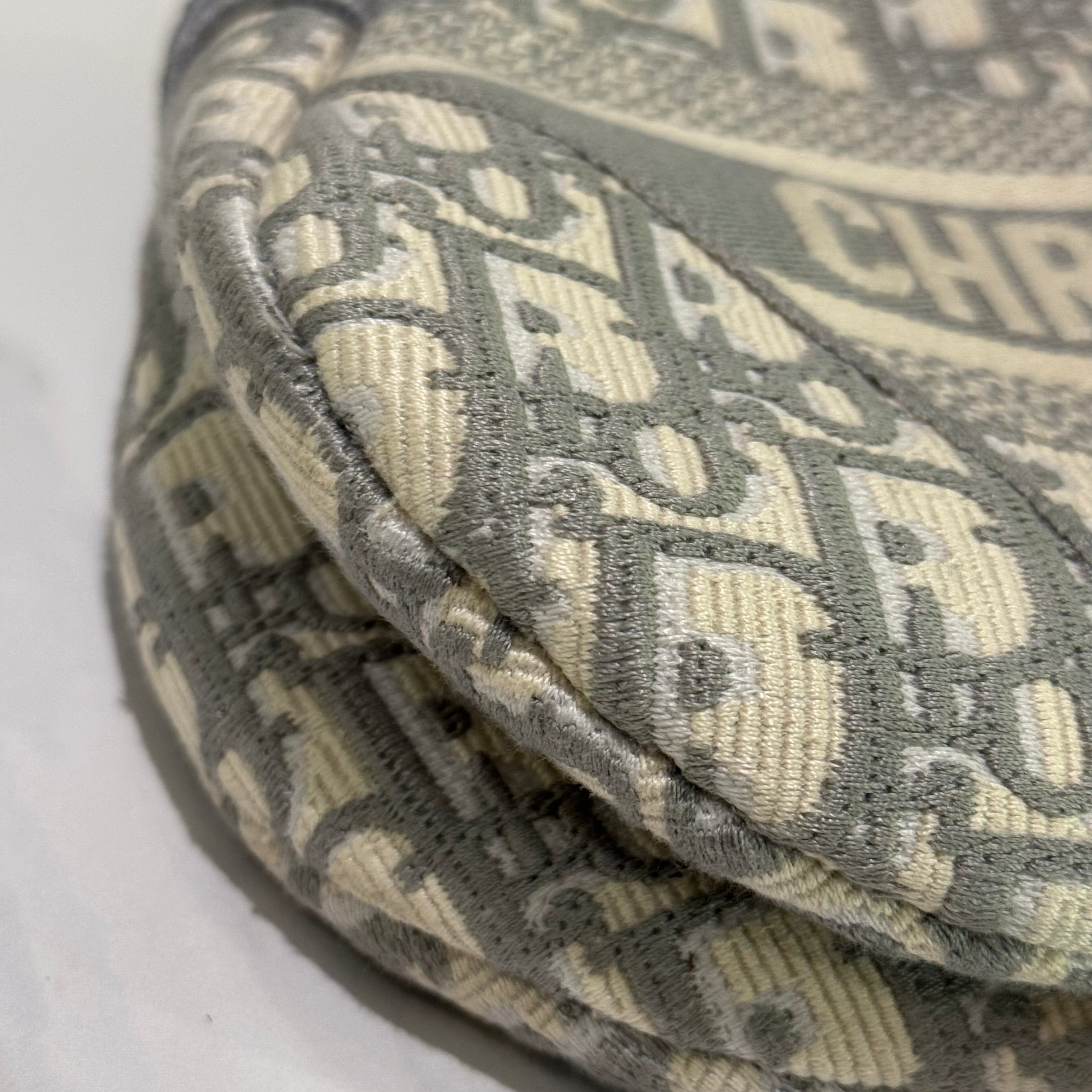 DIOR Saddle Bag Medium Size Shoulder Bag