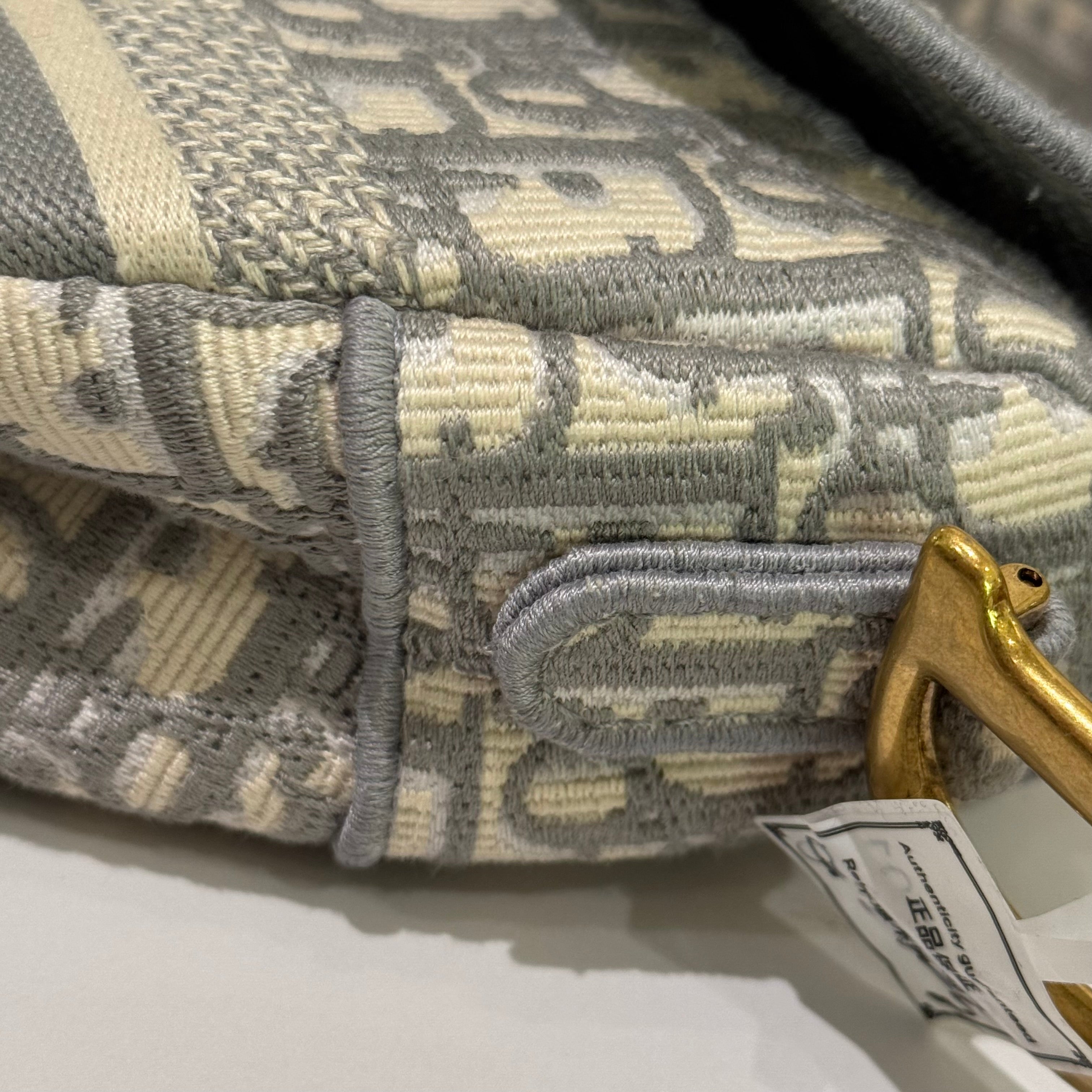 DIOR Saddle Bag Medium Size Shoulder Bag