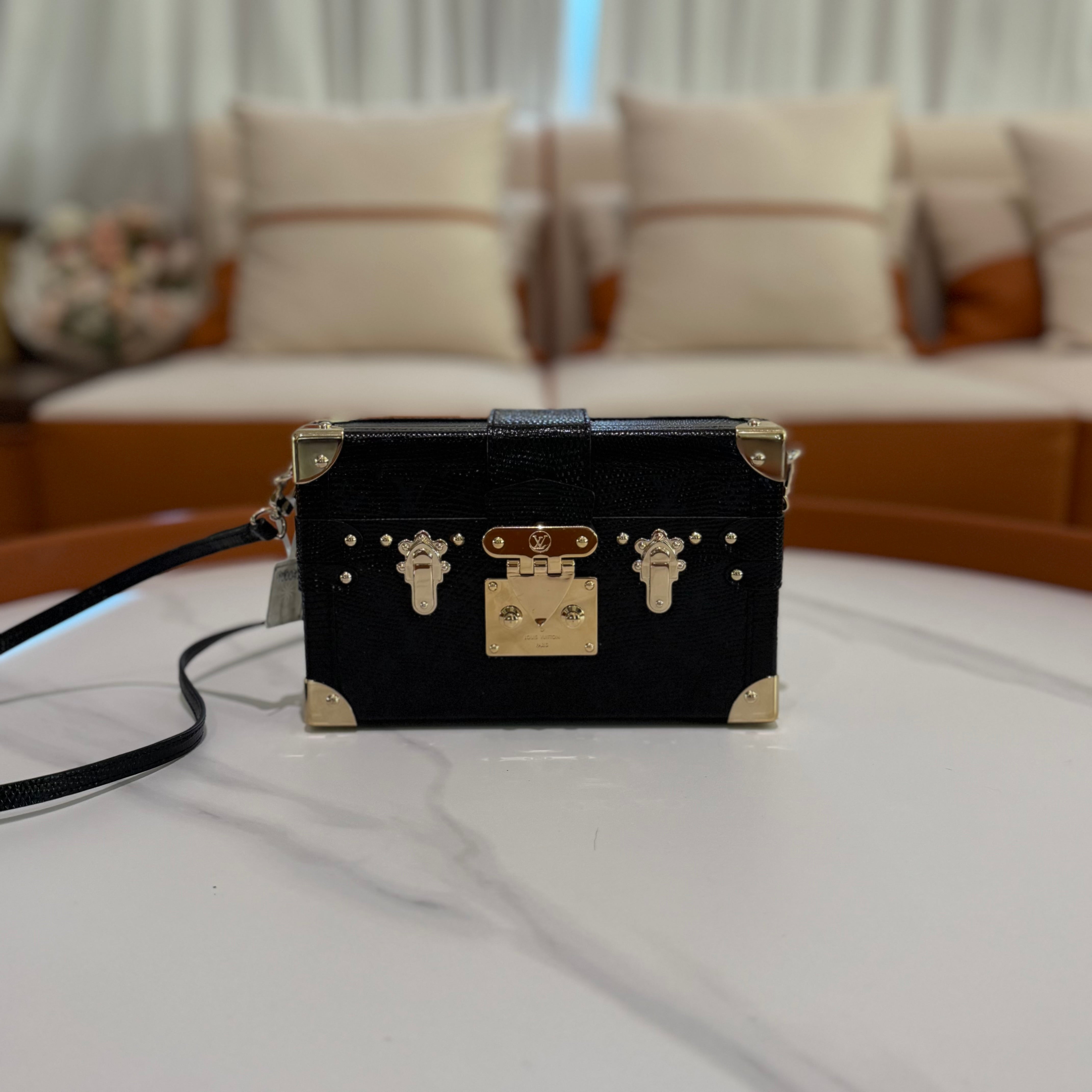 Louis Vuitton Black Lizard Leather Hard Case