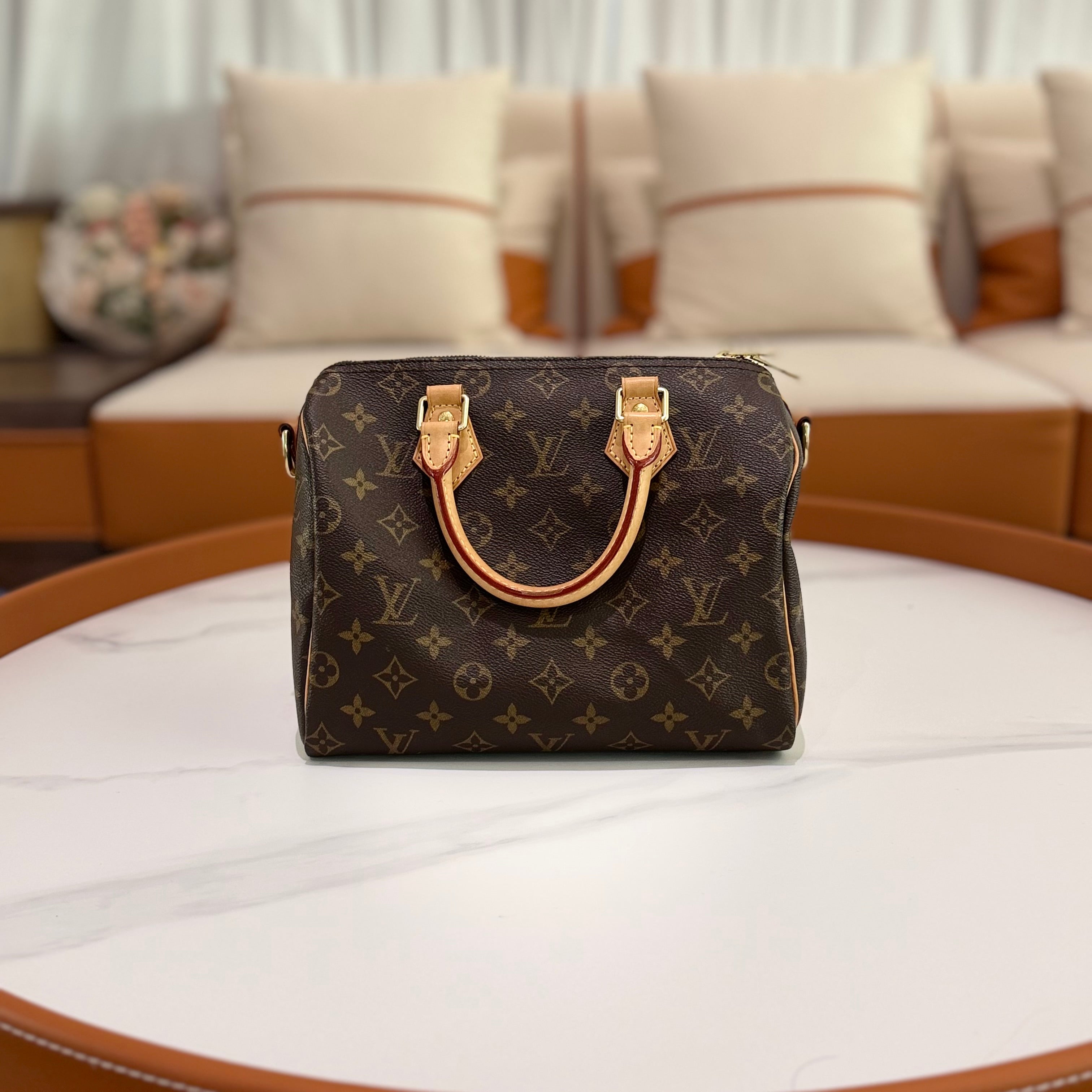 LOUIS VUITTON Speedy Bandoulière 25 Damier Ebene Canvas
