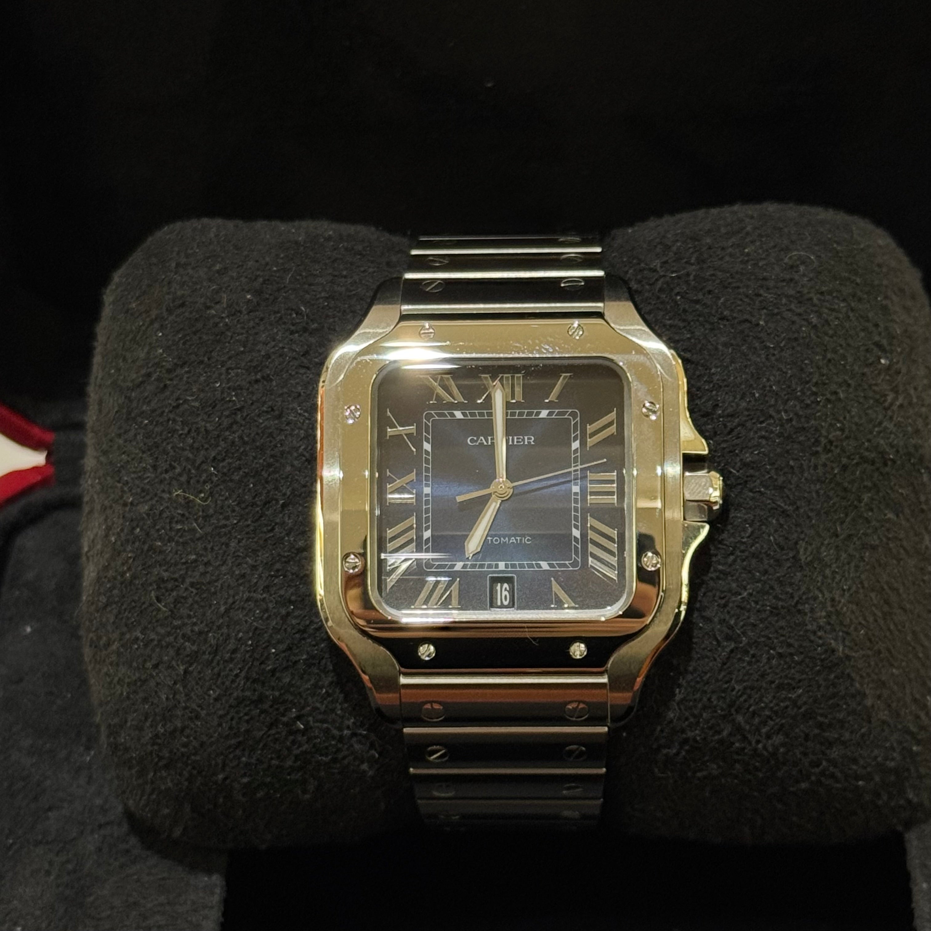 CARTIER SANTOS WSSA0030 (JUNE 2024 WARRANTY)