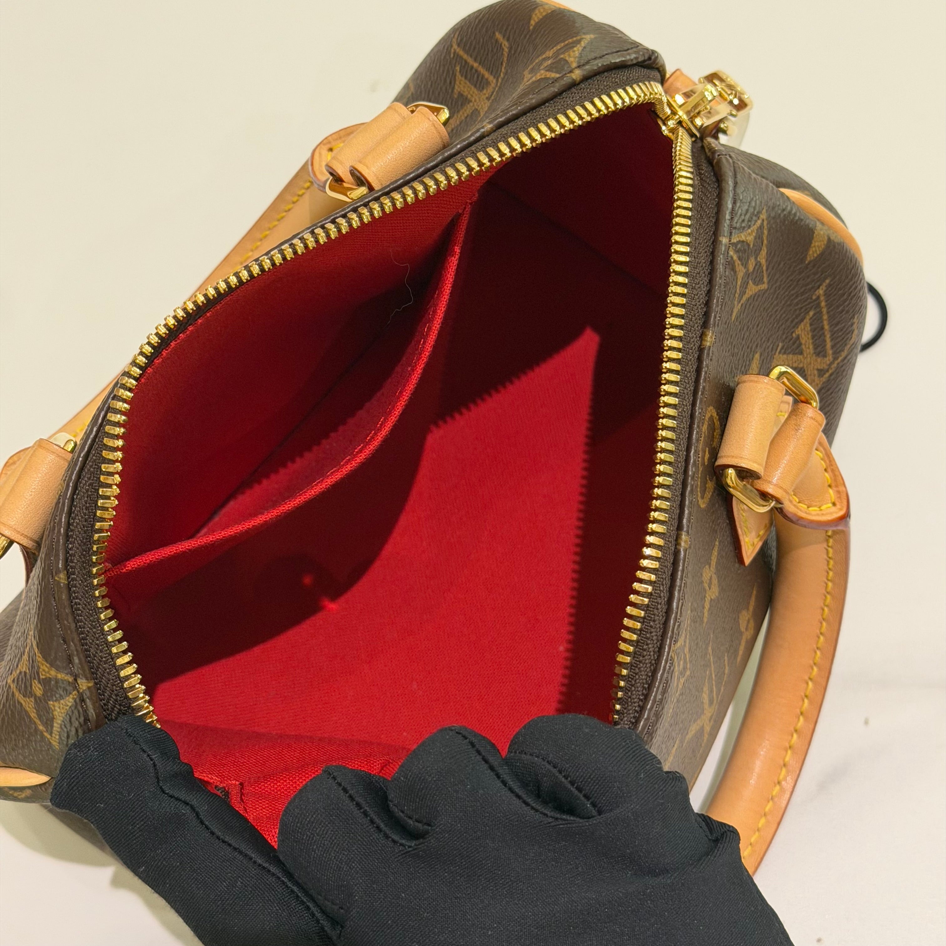 Louis Vuitton Speedy 20