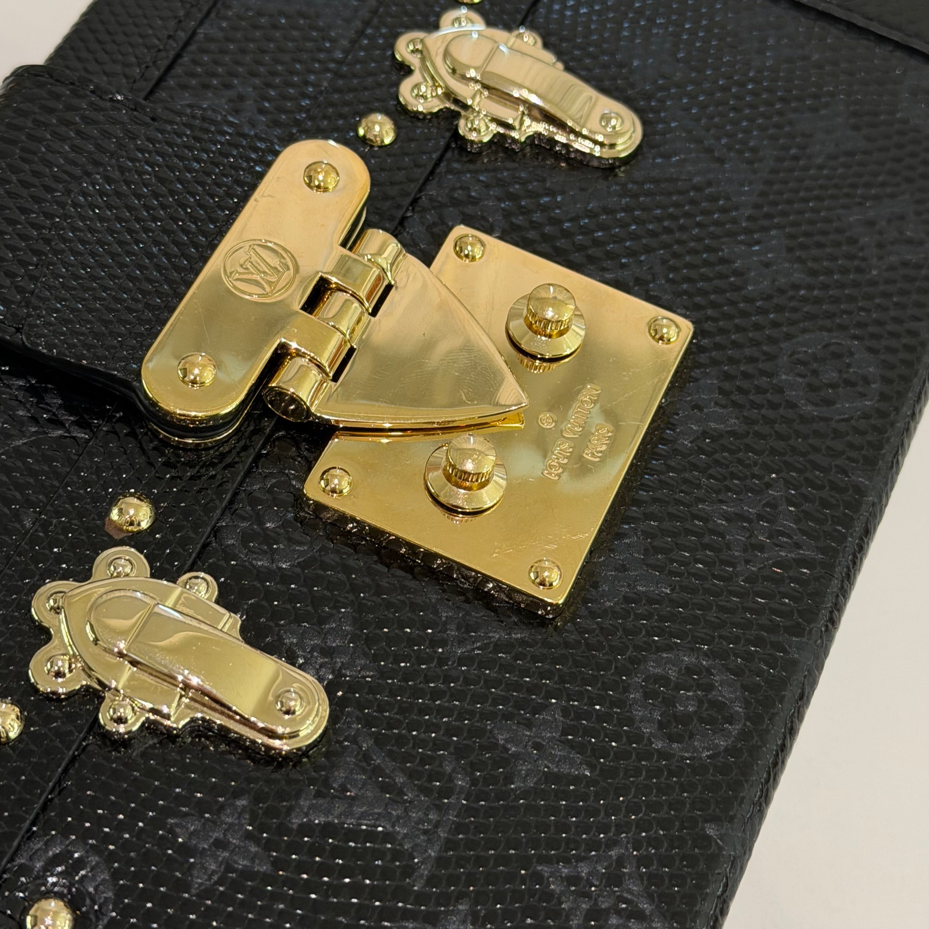 Louis Vuitton Black Lizard Leather Hard Case