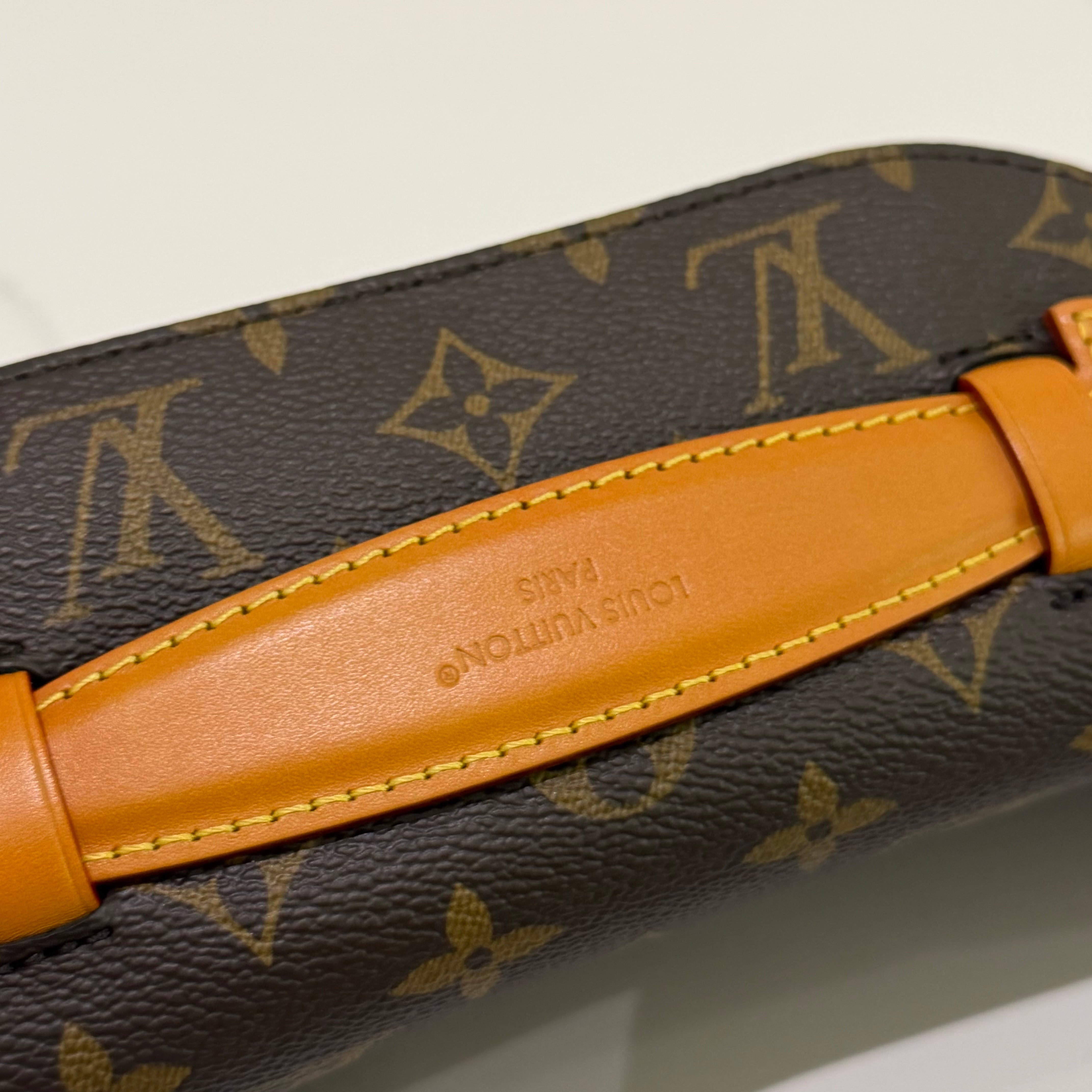 Louis Vuitton Monogram Rush Shoulder Crossbody Bag (Chip Model) | LOUIS VUITTON