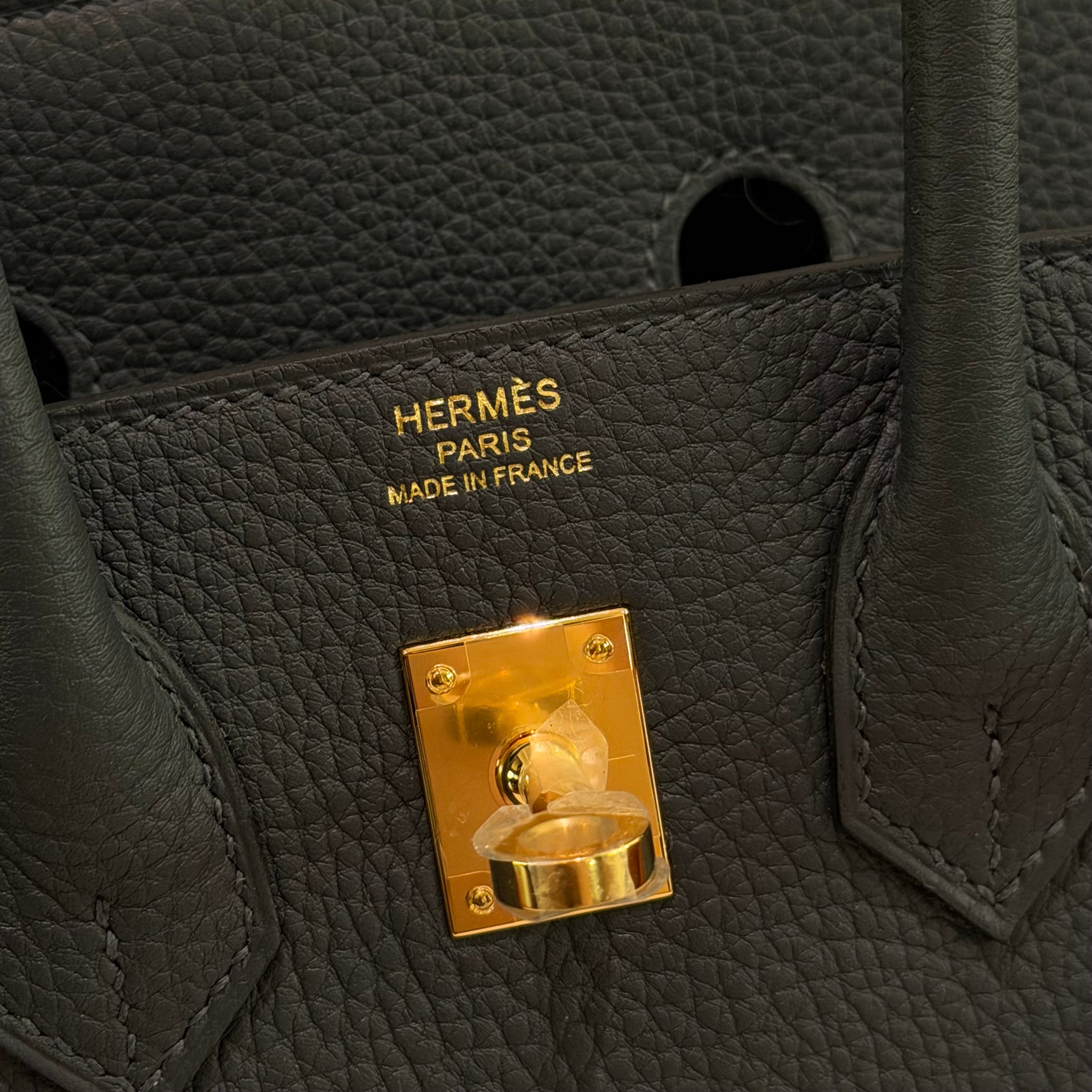 Hermes Birkin 25 Togo Gris Misty with Gold Hardware (Stamp G)