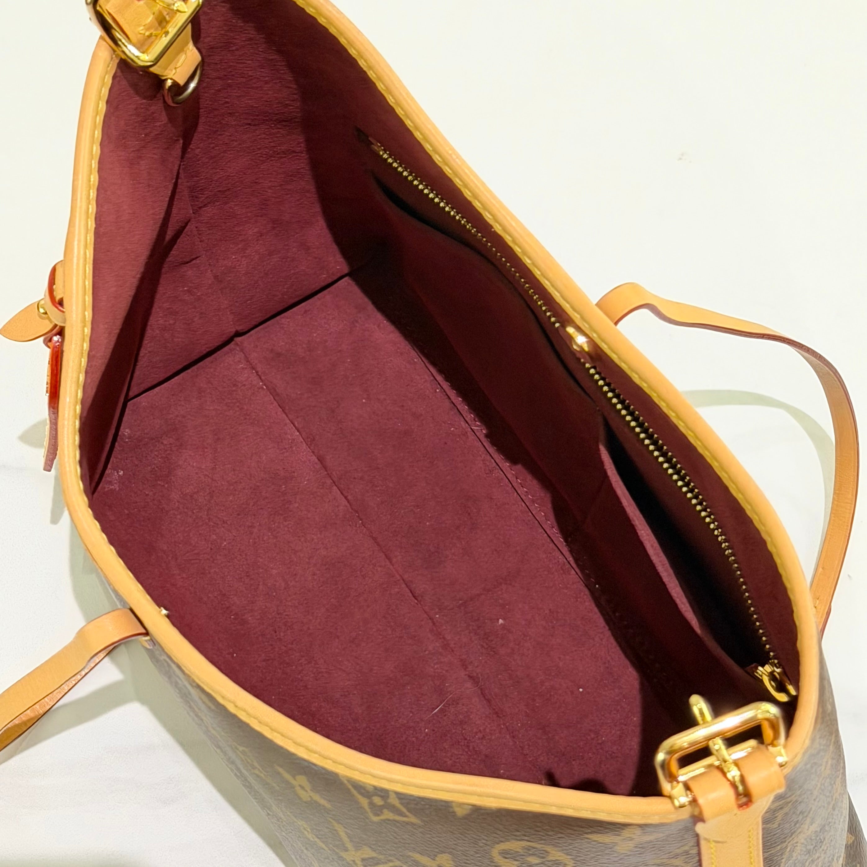 Louis Vuitton CarryAll PM Monogram (Chip Model)