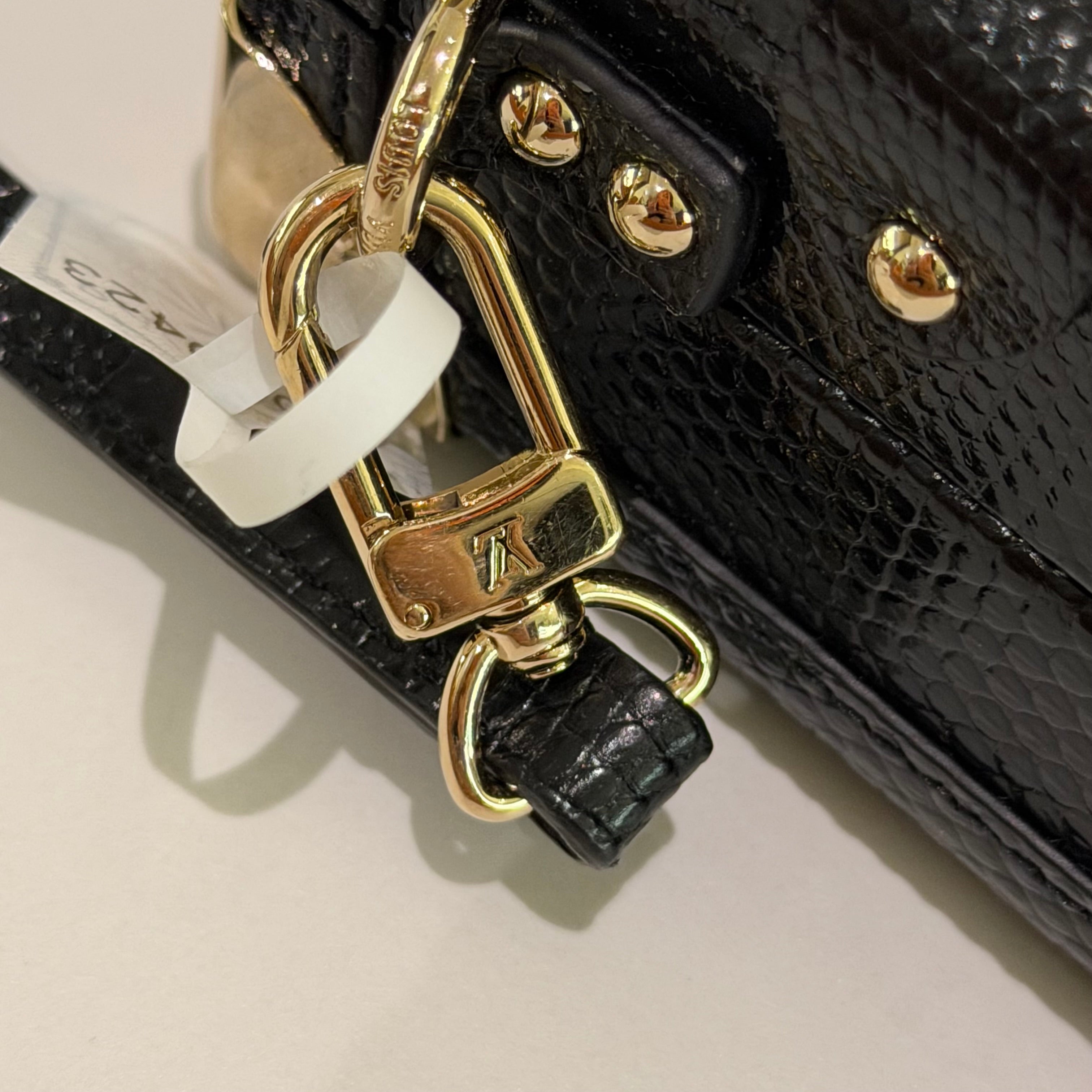 Louis Vuitton Black Lizard Leather Hard Case