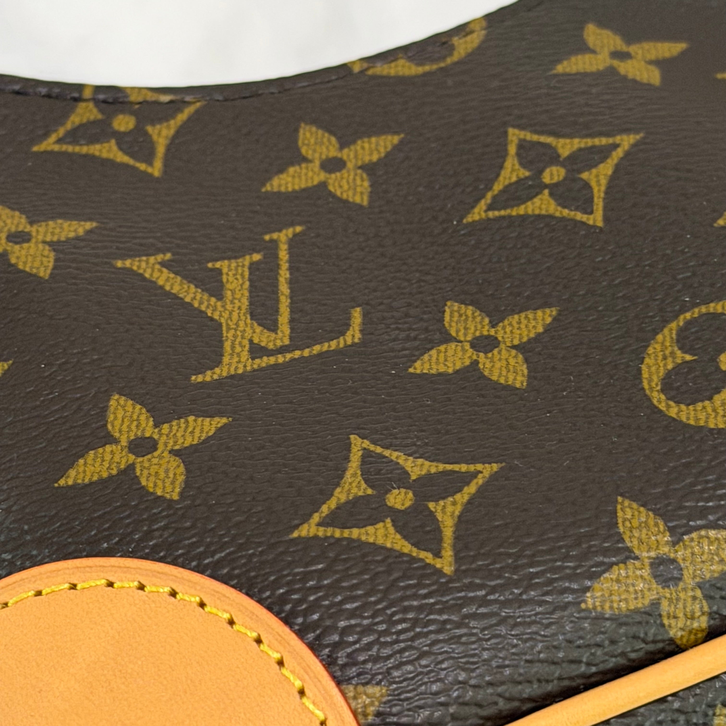 Louis Vuitton Nano Boulogne Monogram Horn Chain Bag