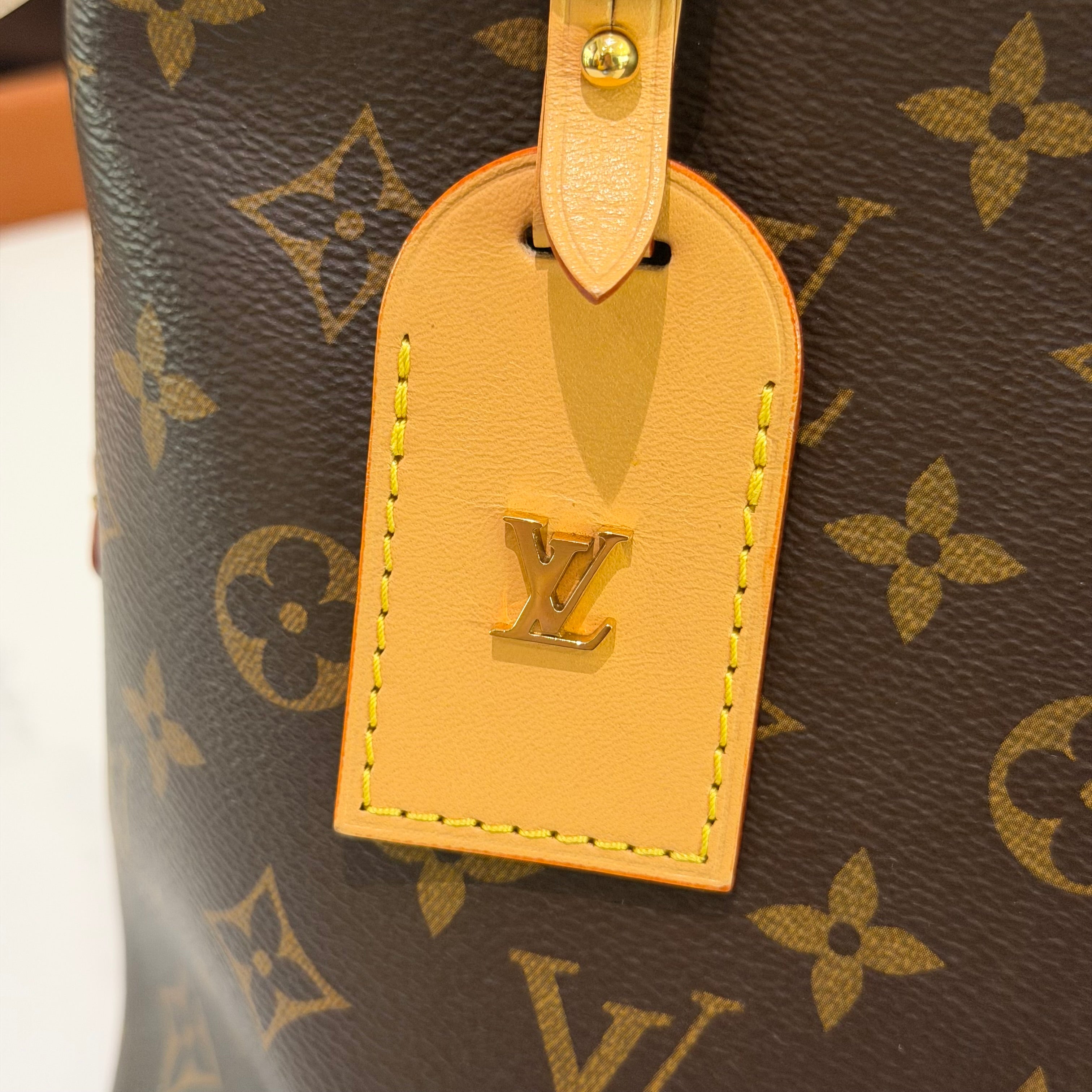 Louis Vuitton CarryAll PM Monogram (Chip Model)
