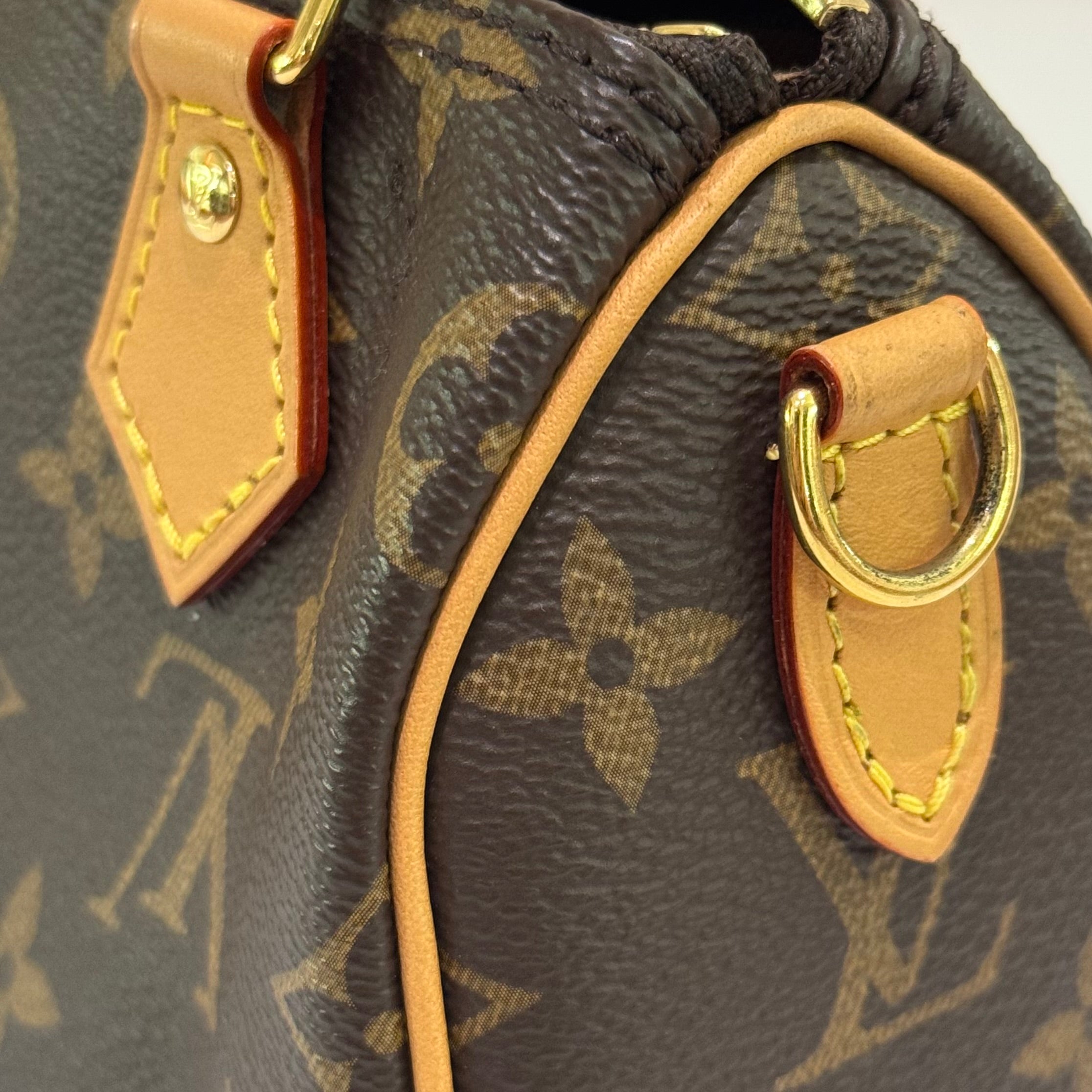 LOUIS VUITTON SPEEDY NANO MONOGRAM CLASSIC