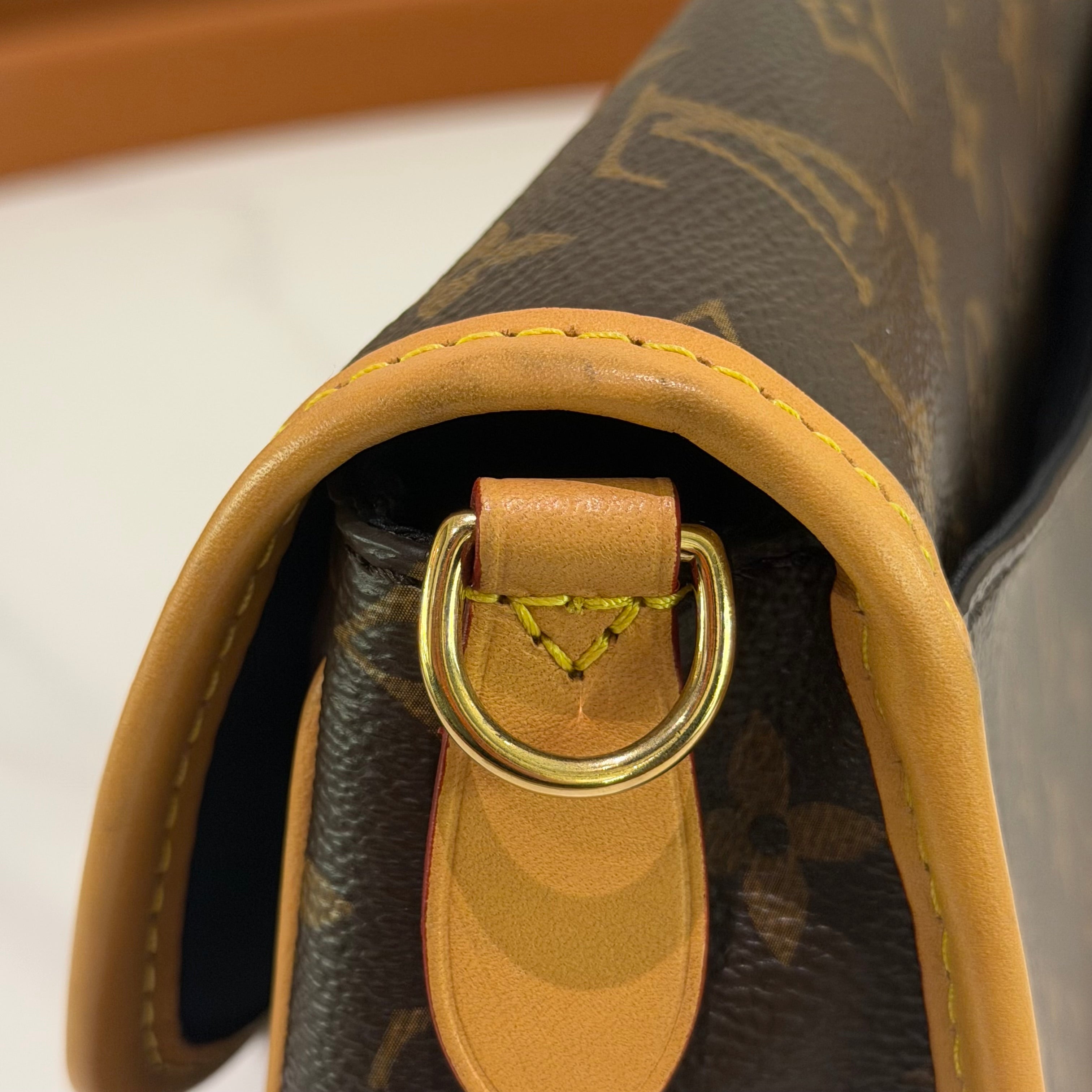 Louis Vuitton Diane Bag