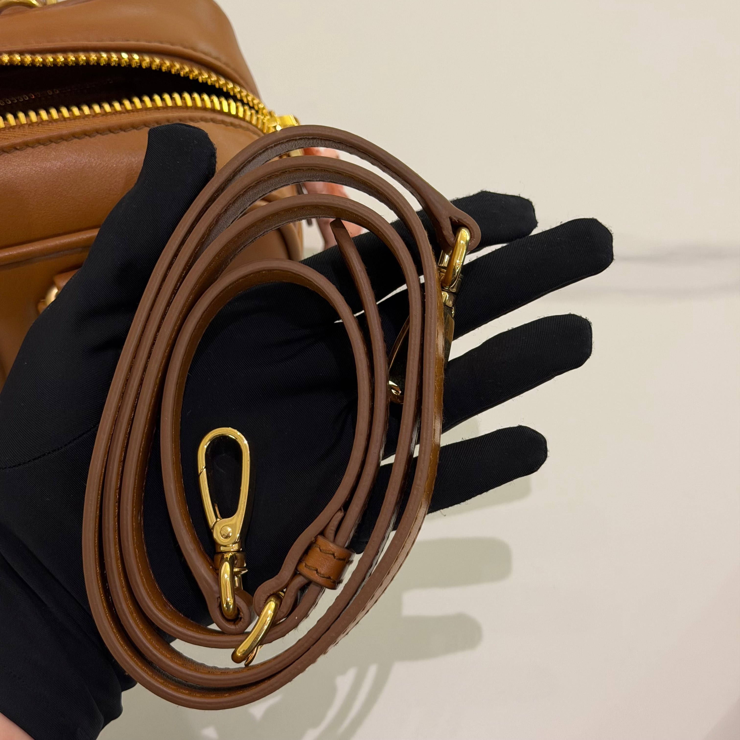 Miu Miu Arcadie Bag