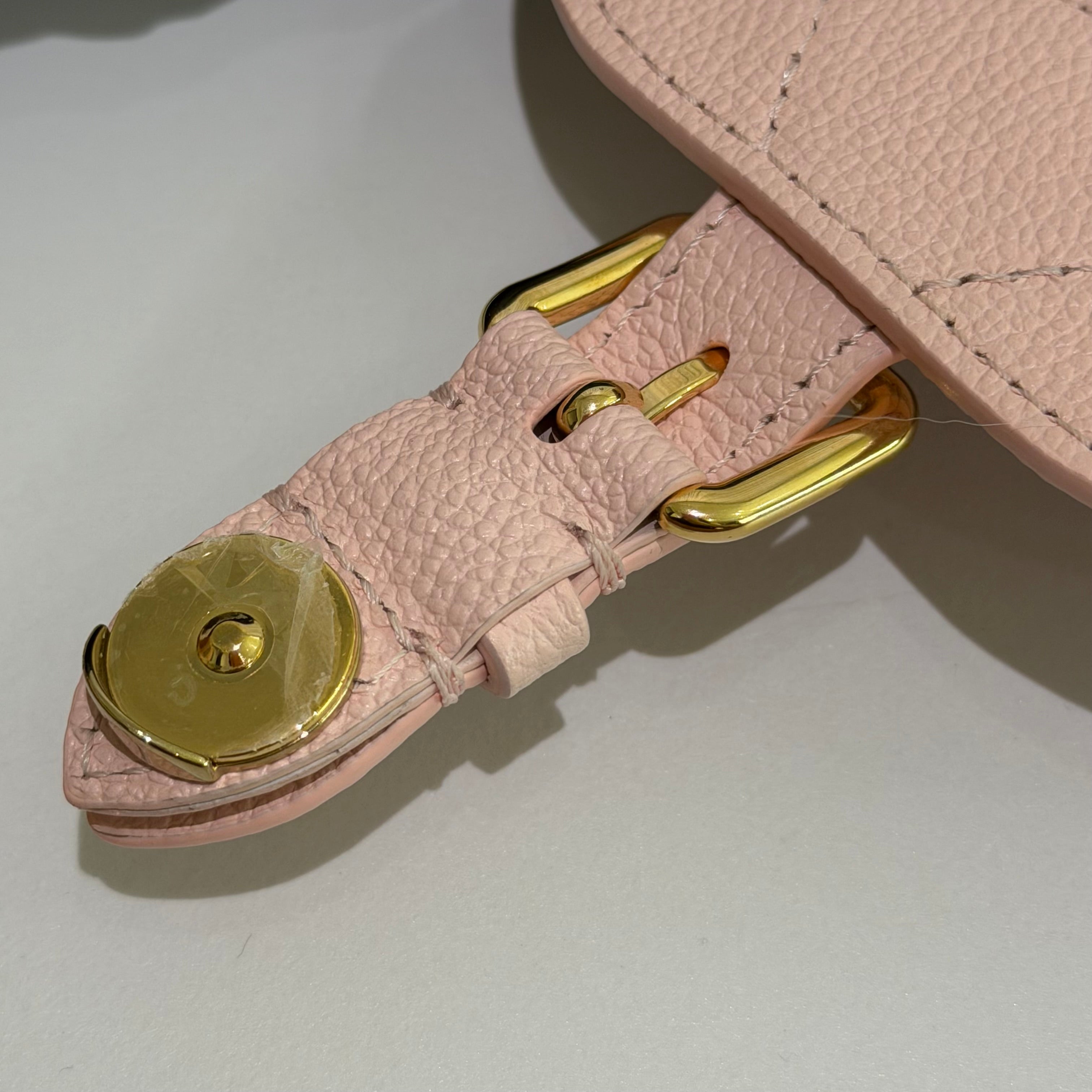 Louis Vuitton Backpack Cherry Blossom Pink with Gold Hardware (Chip Model)