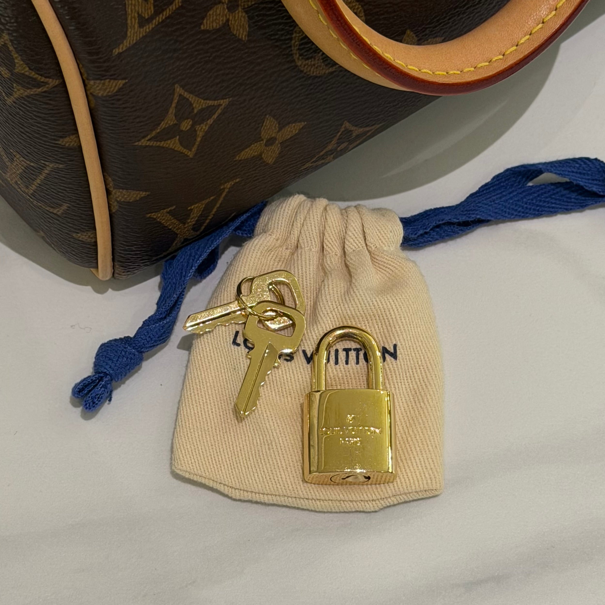 Louis Vuitton Speedy 20