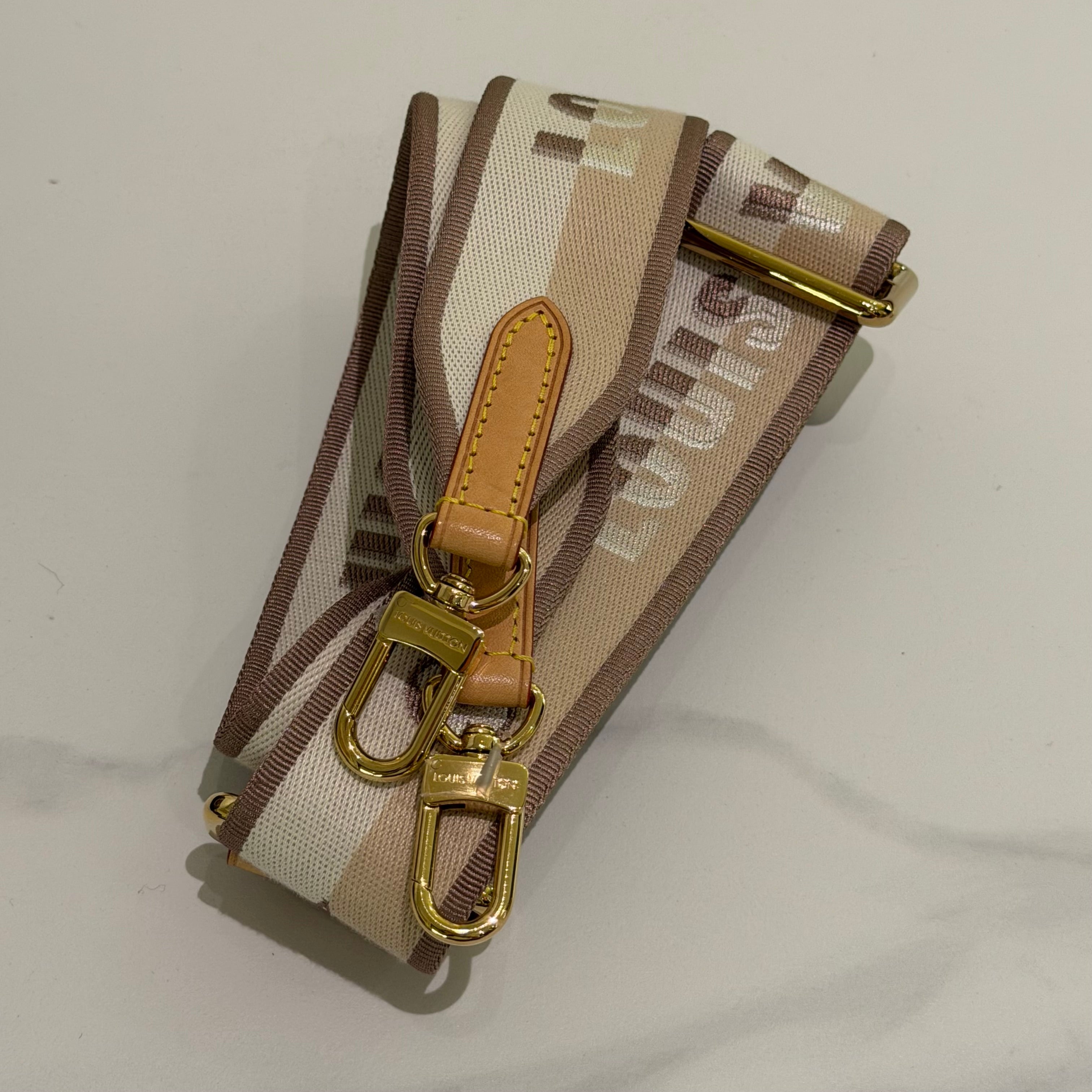 Louis Vuitton Speedy 20