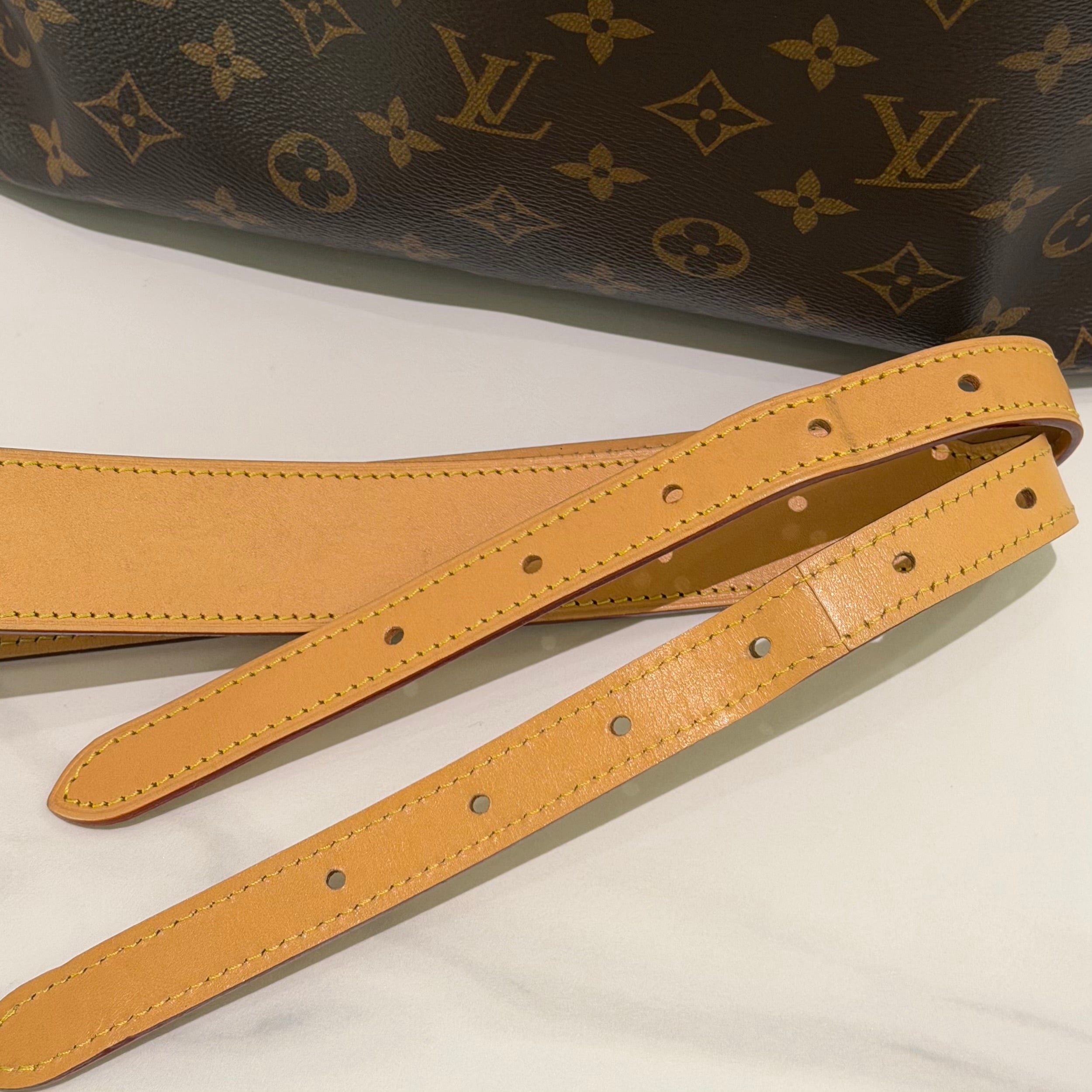 Louis Vuitton CarryAll PM Monogram (Chip Model)