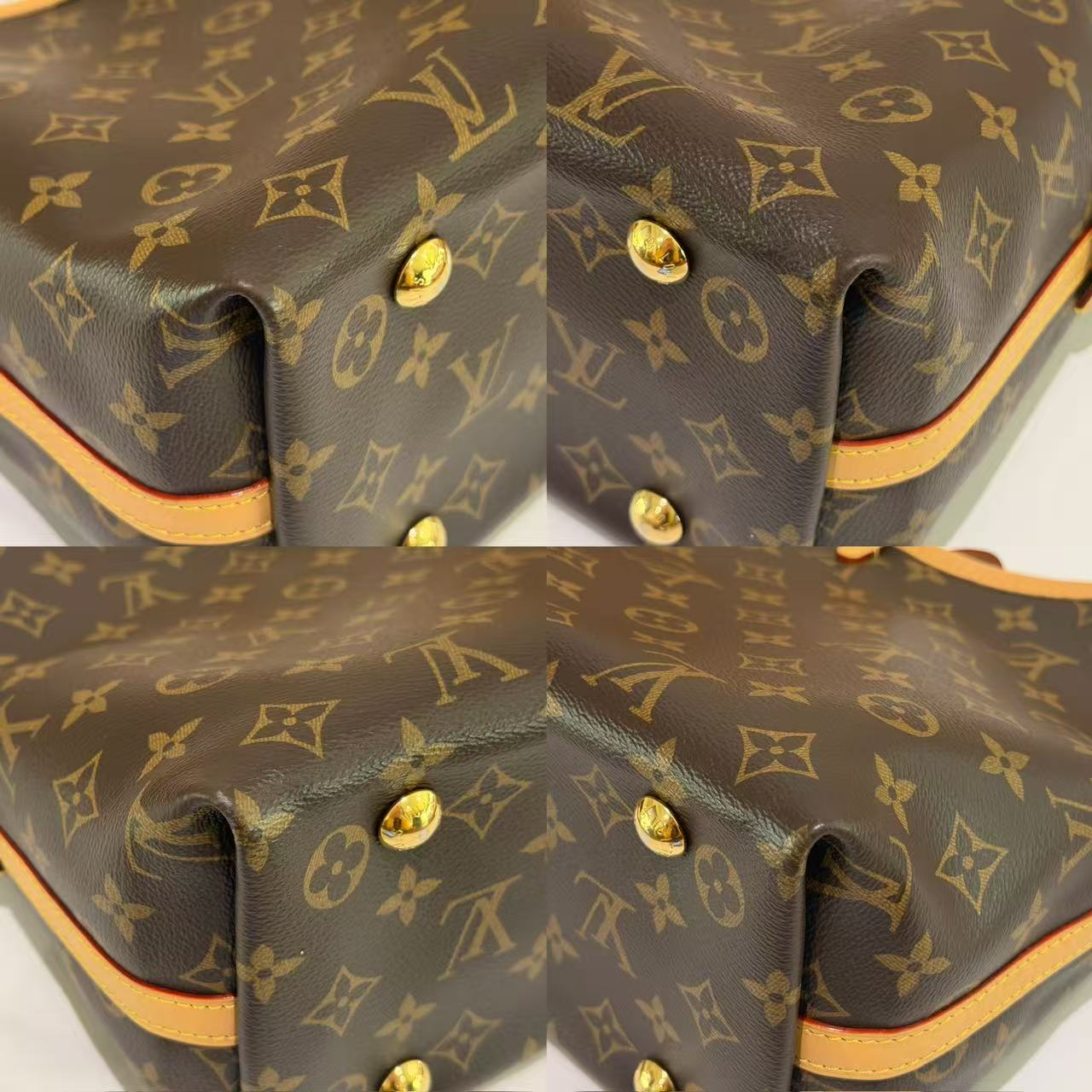 Louis Vuitton CarryAll PM Monogram (Chip Model)